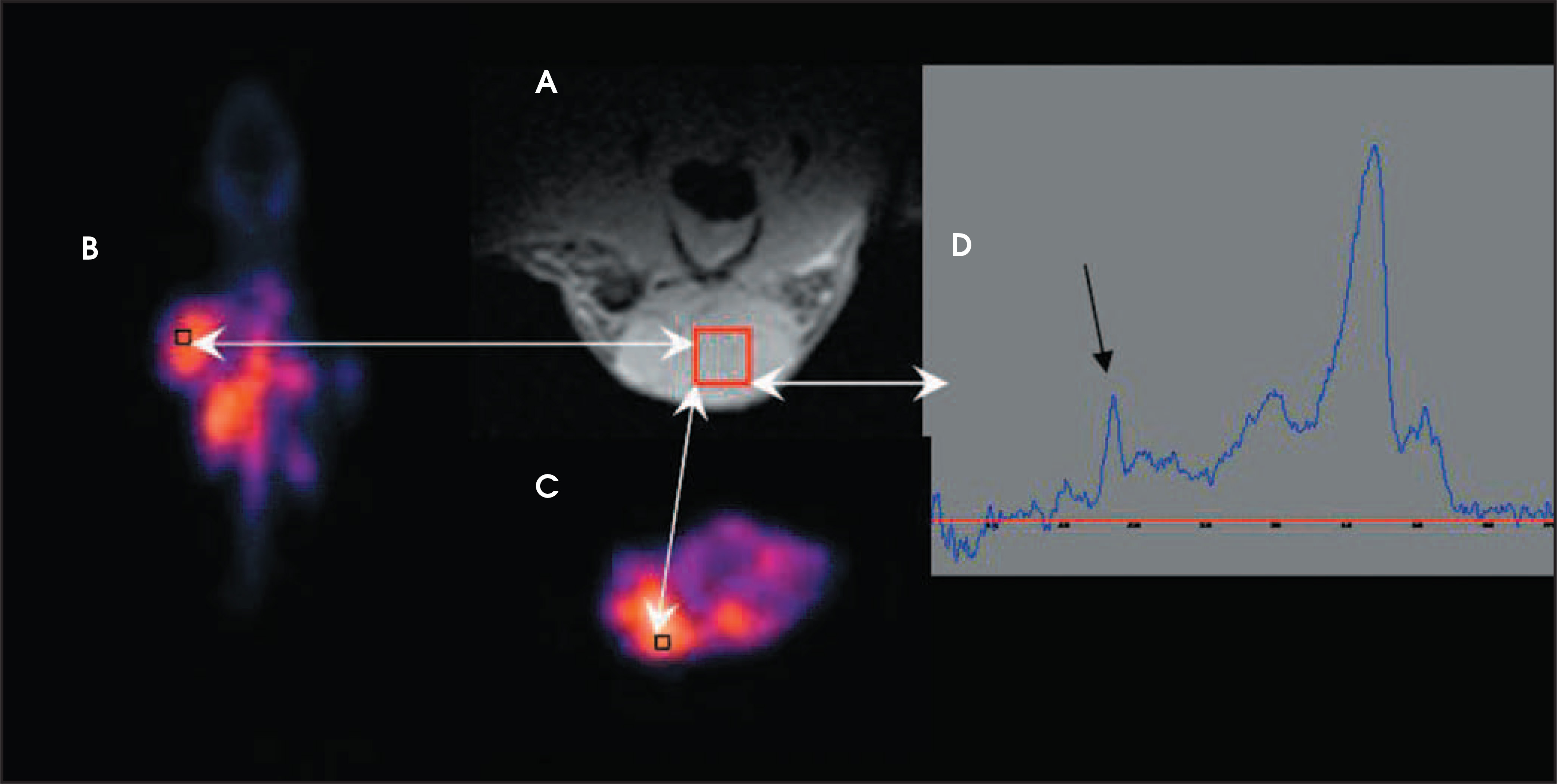FIGURE 1.