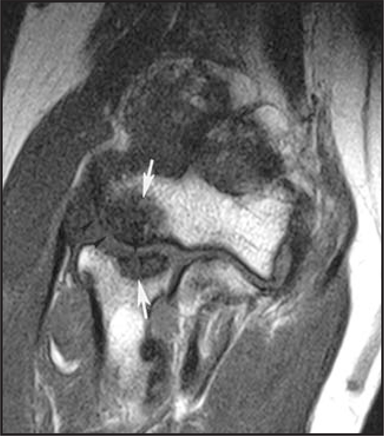 FIGURE 1.