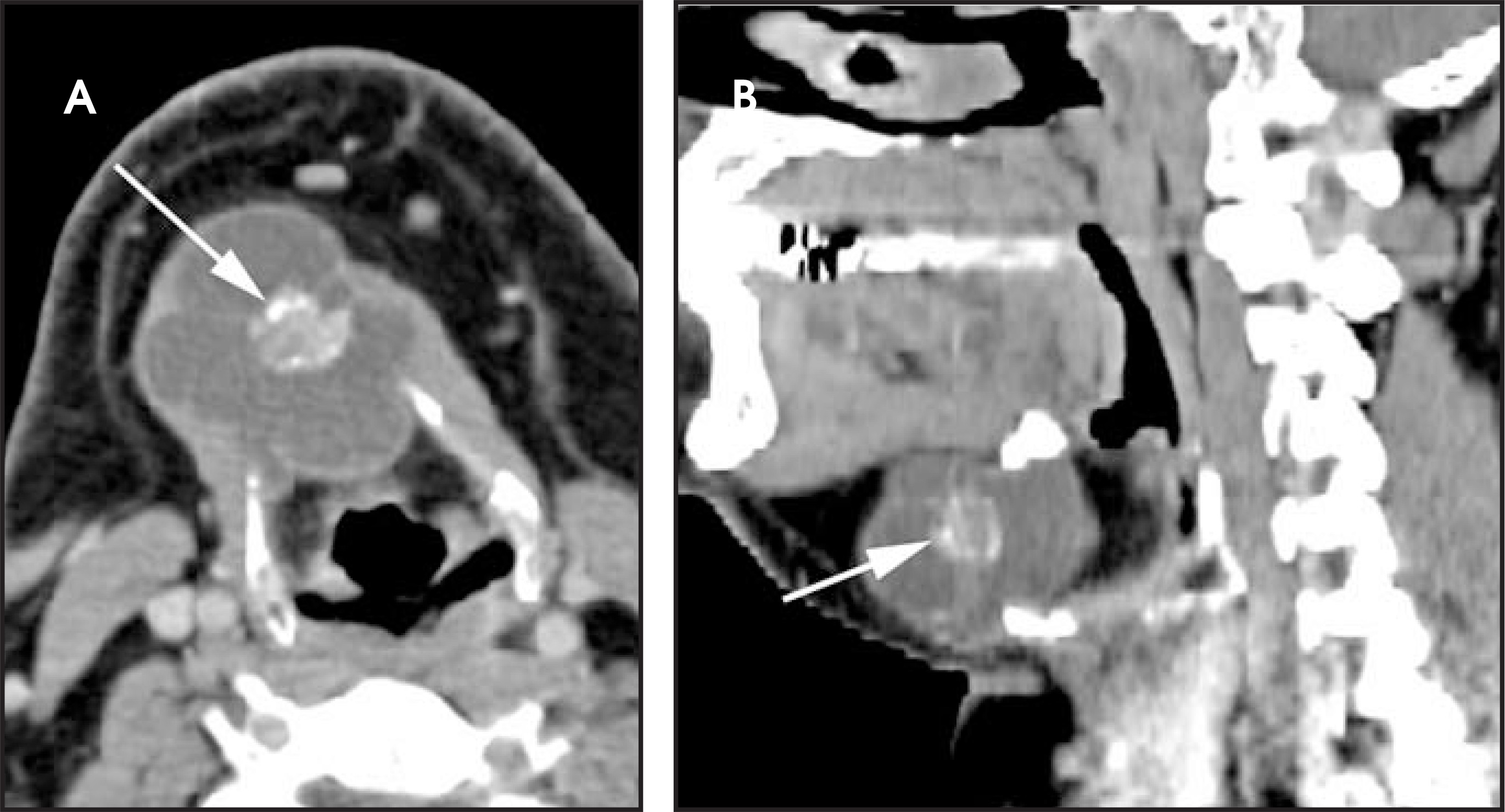 FIGURE 3.