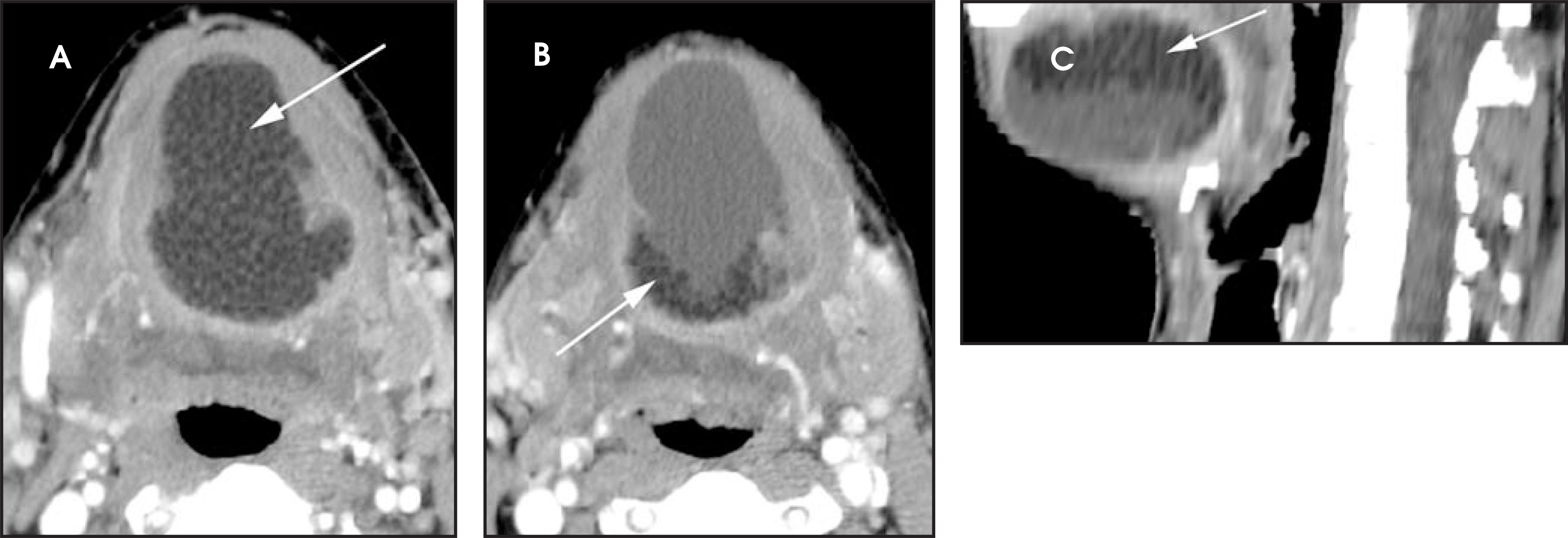 FIGURE 13.