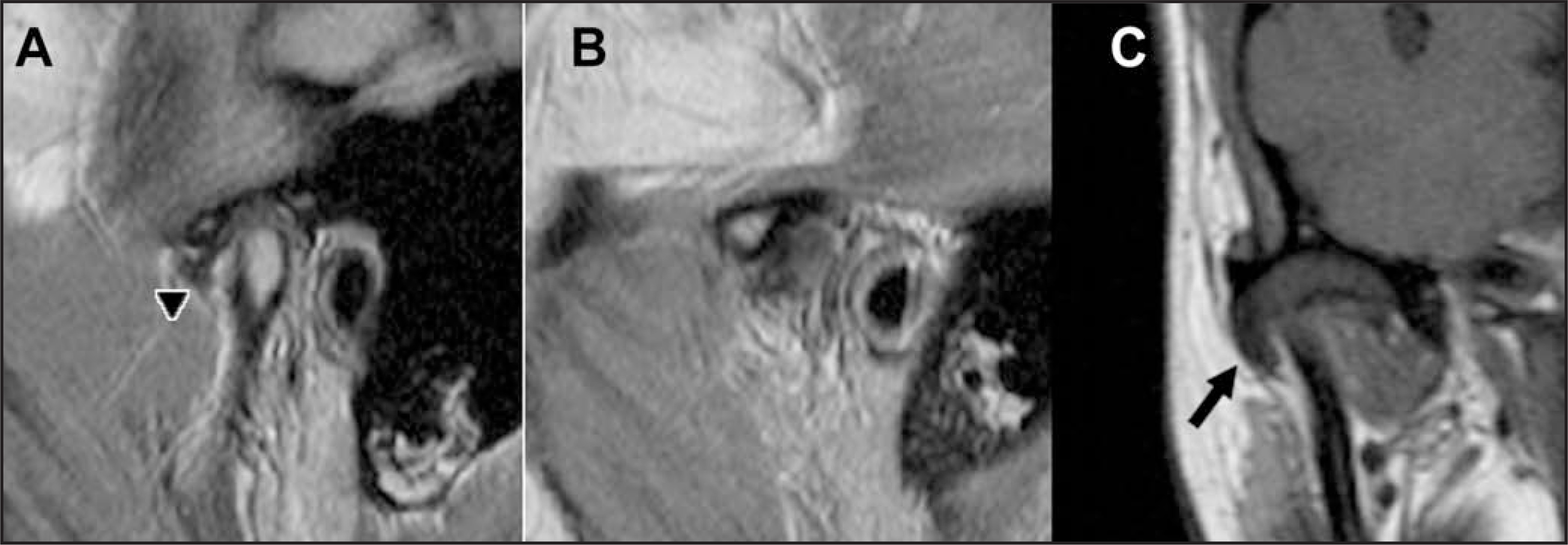 FIGURE 7.