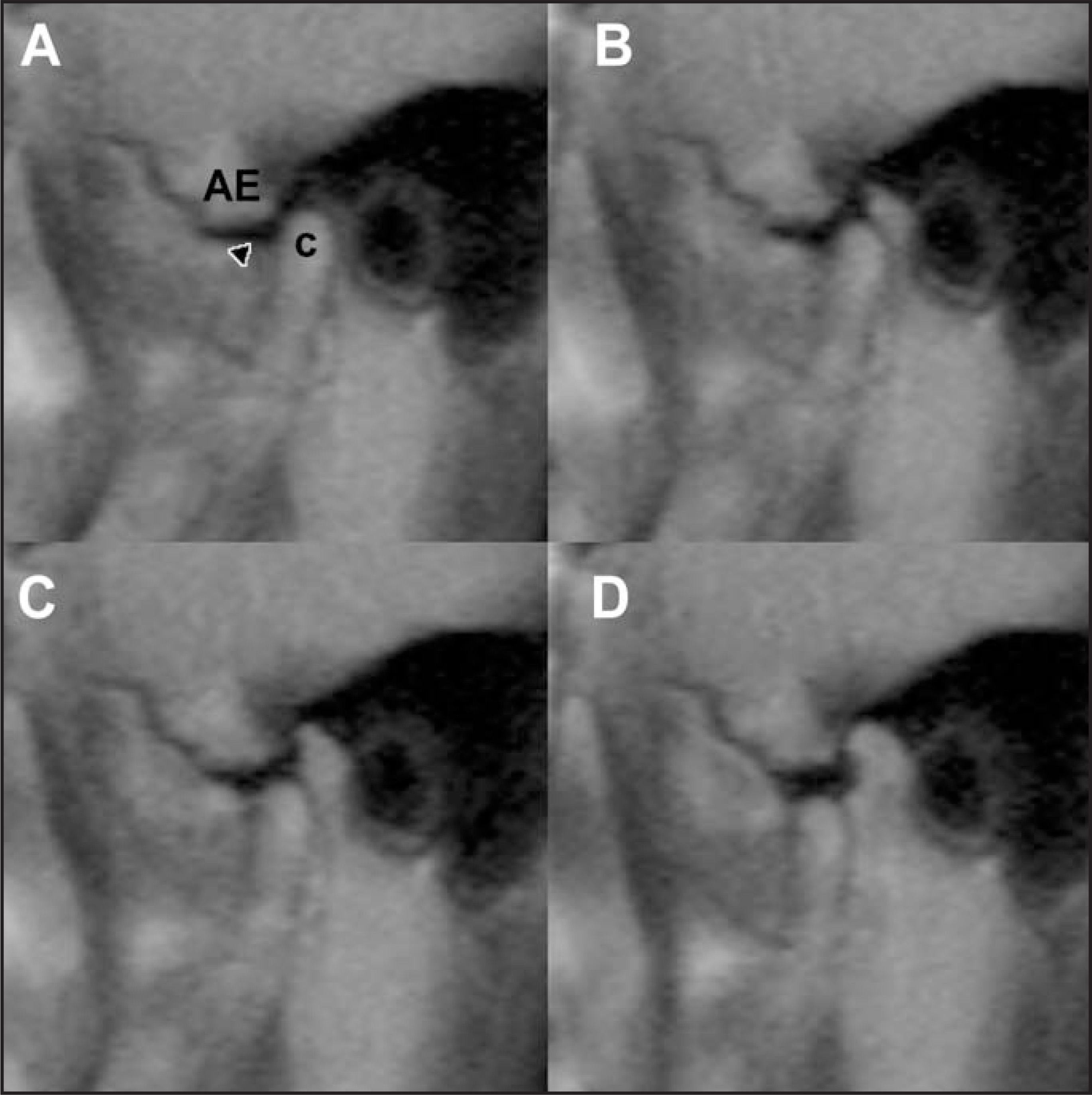 FIGURE 13.