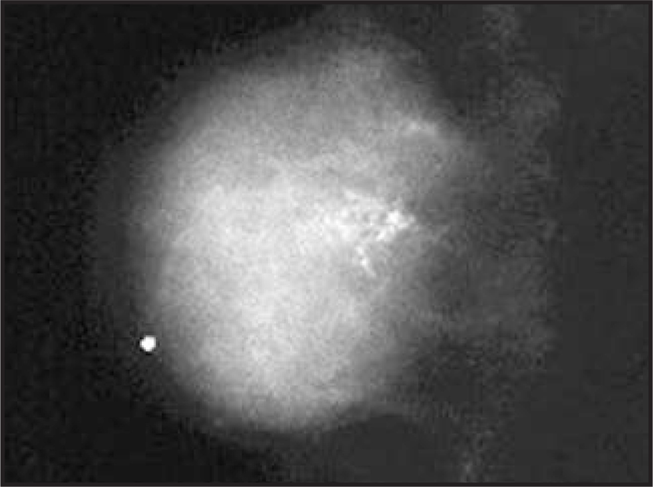 FIGURE 2.