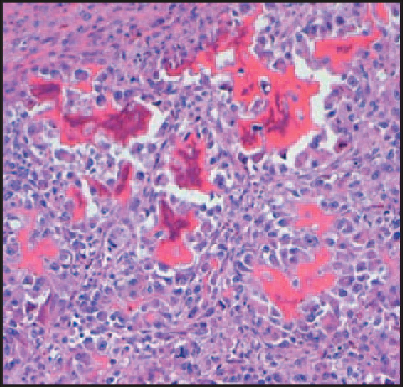 FIGURE 9.