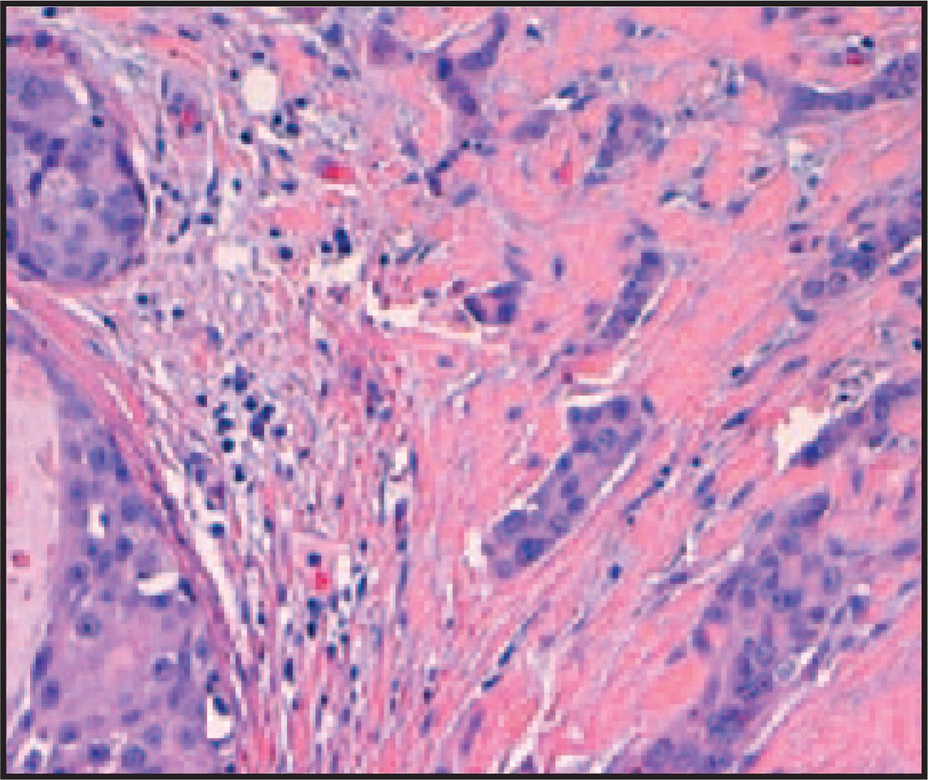 FIGURE 10.