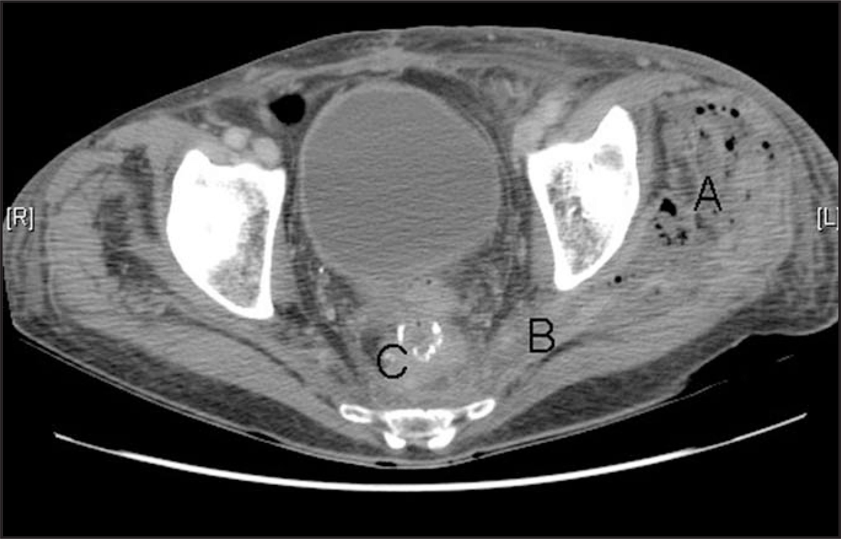 FIGURE 1.