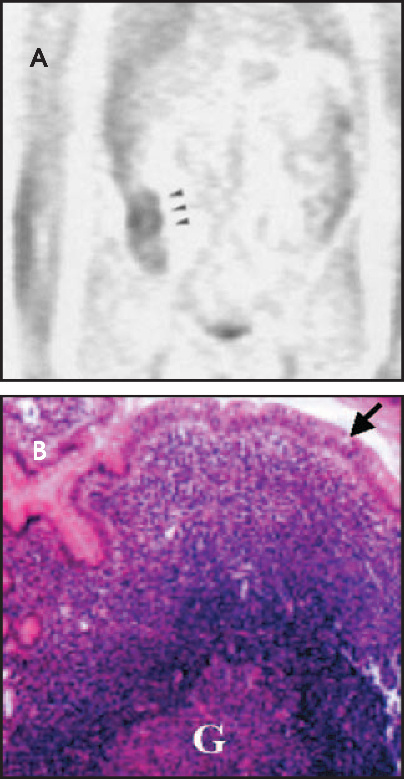 FIGURE 1.
