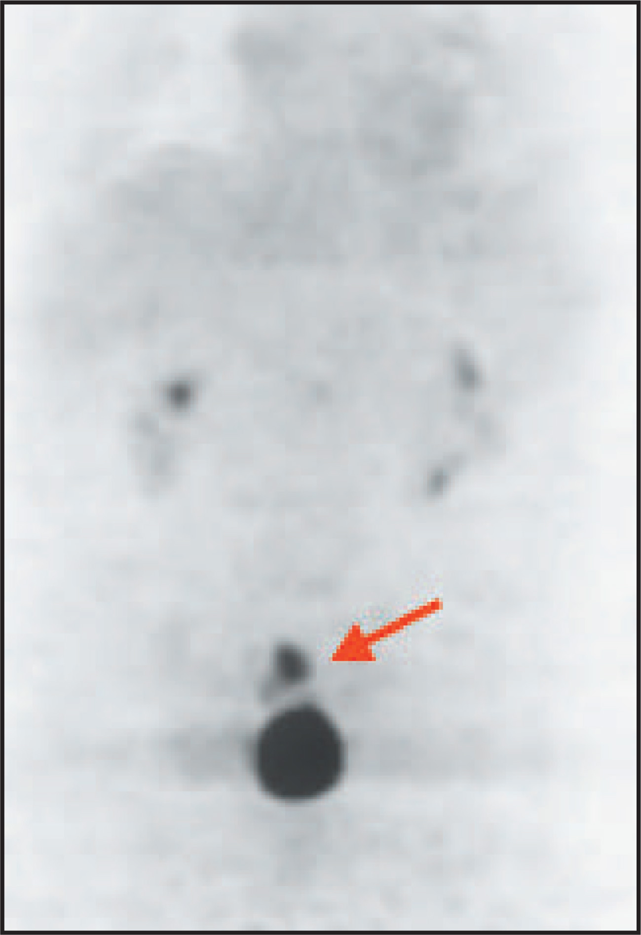 FIGURE 10.