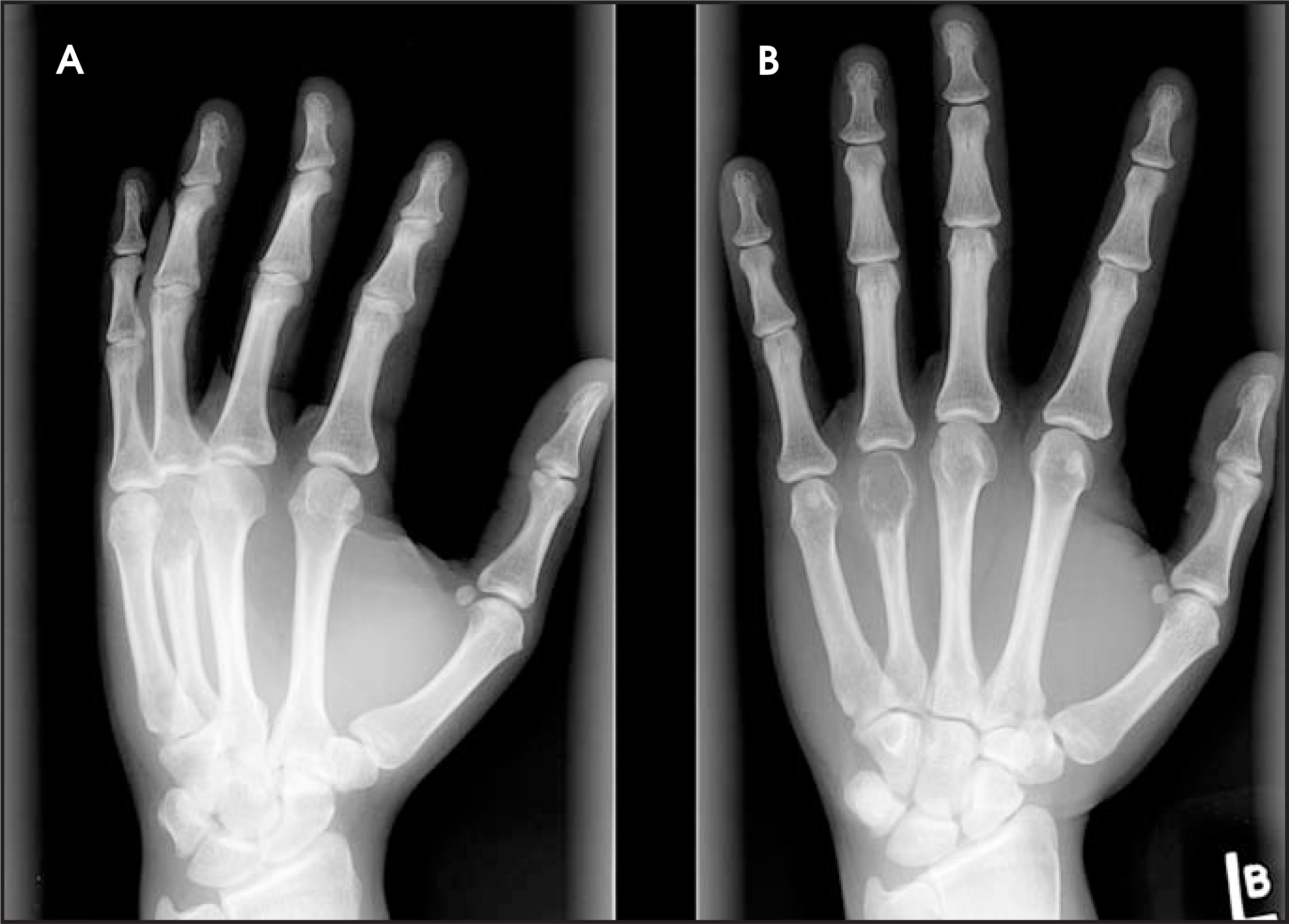 FIGURE 1.