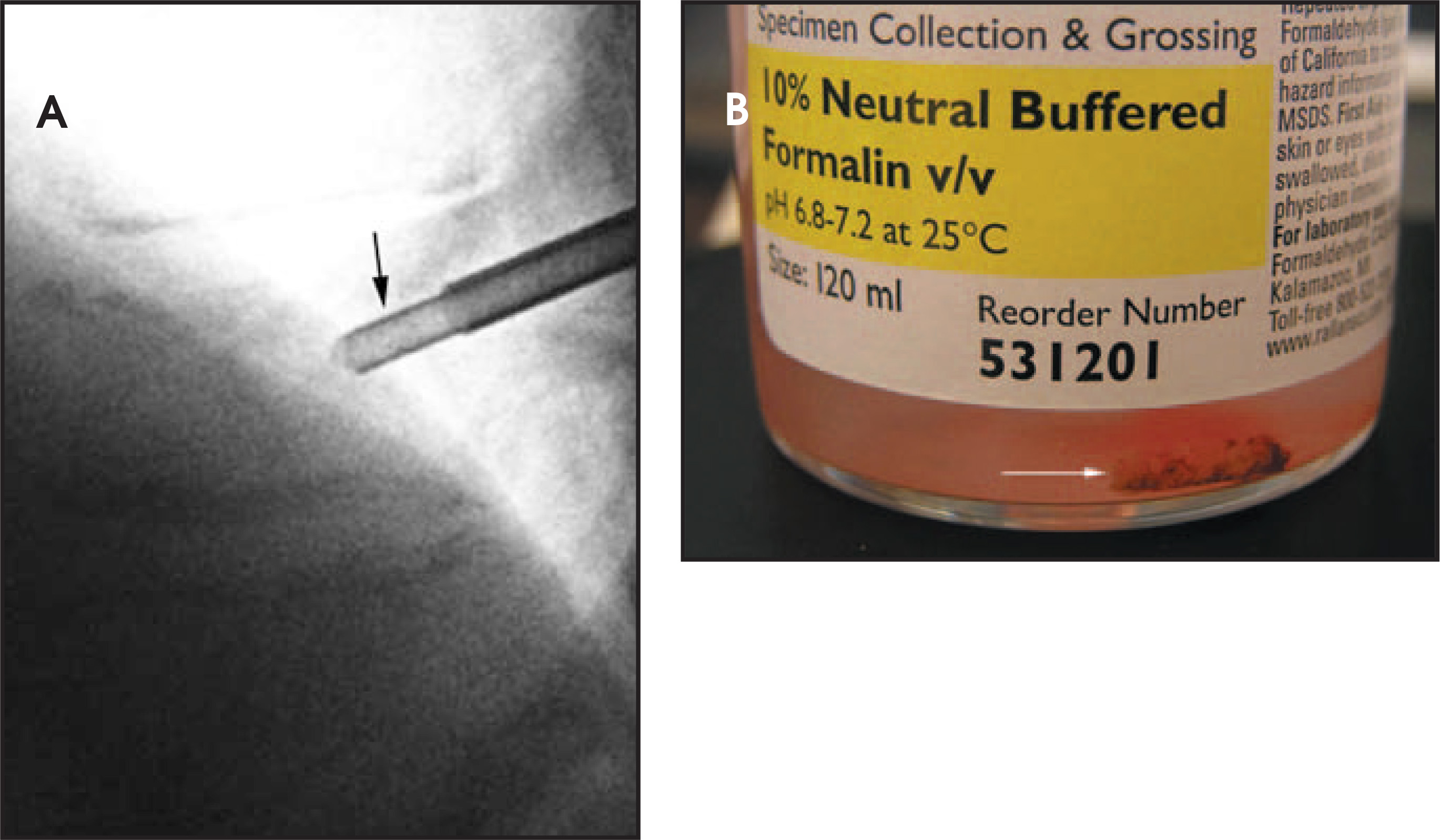 FIGURE 10.