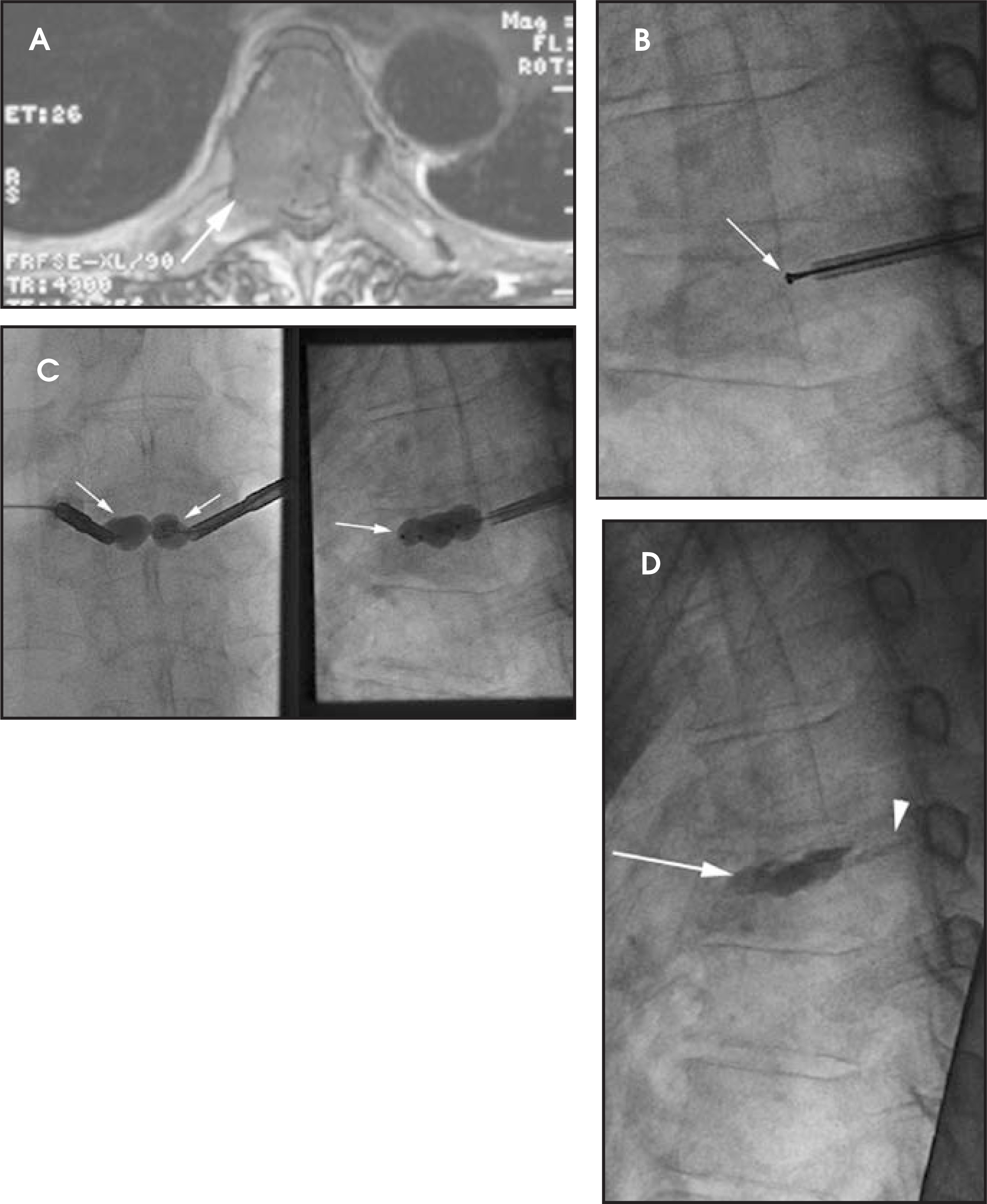FIGURE 15.