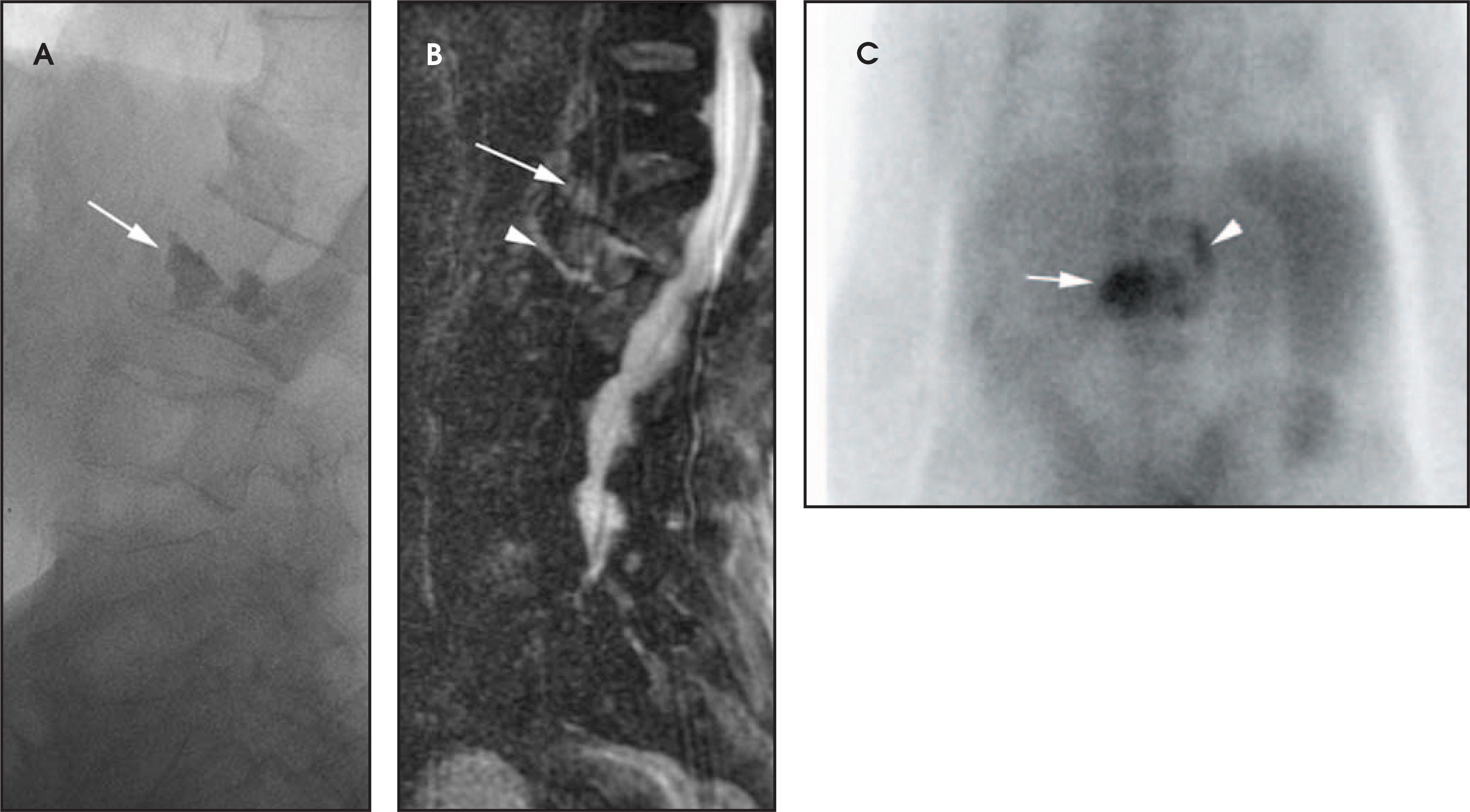 FIGURE 16.