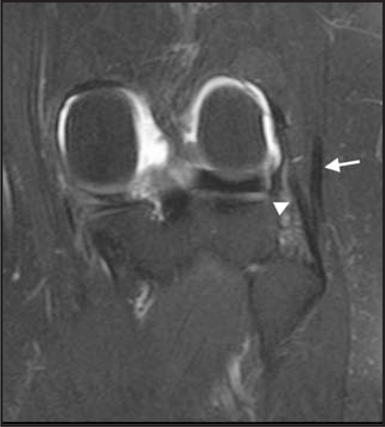 FIGURE 19.