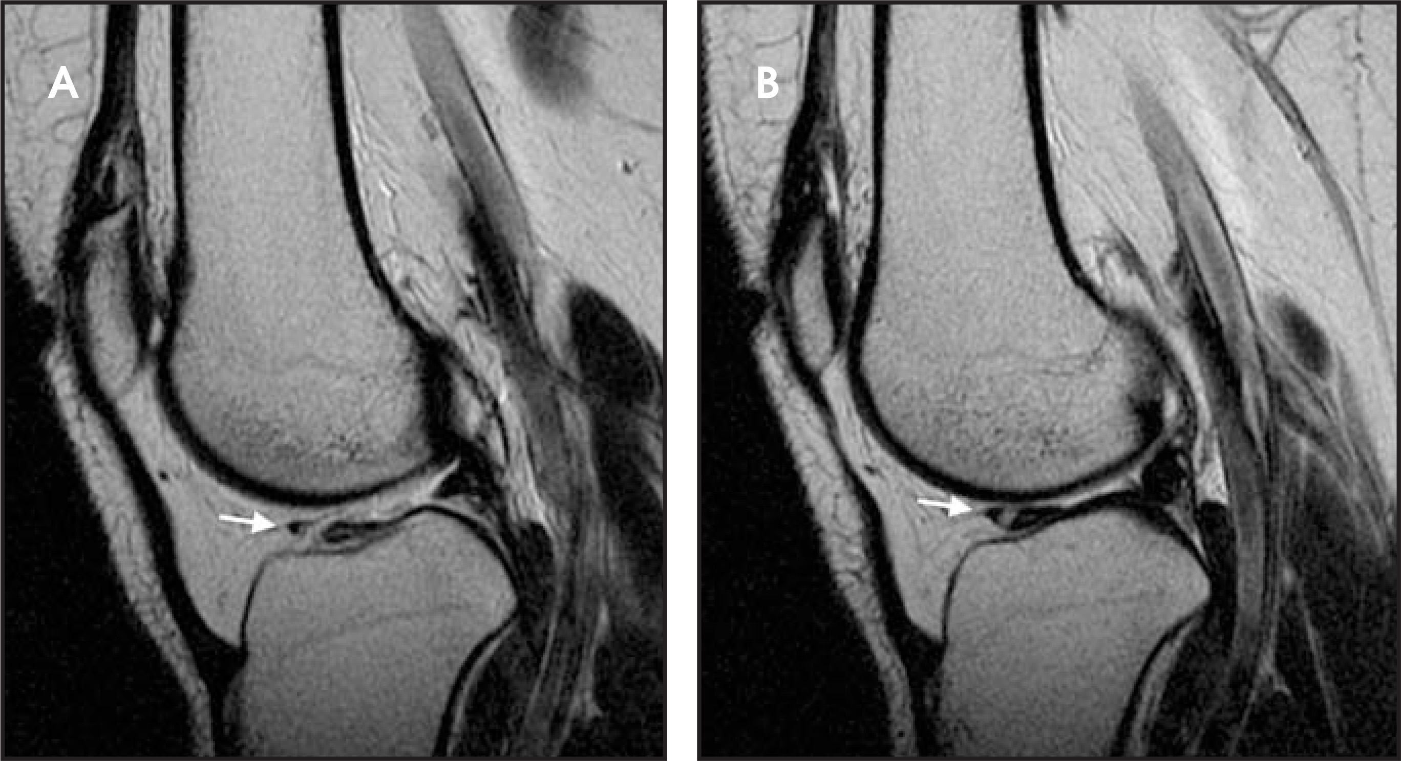 FIGURE 21.