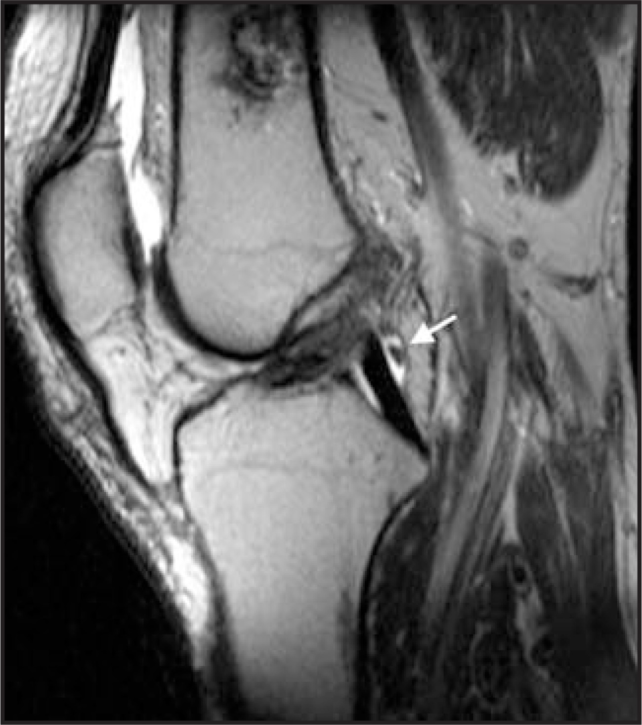 FIGURE 24.