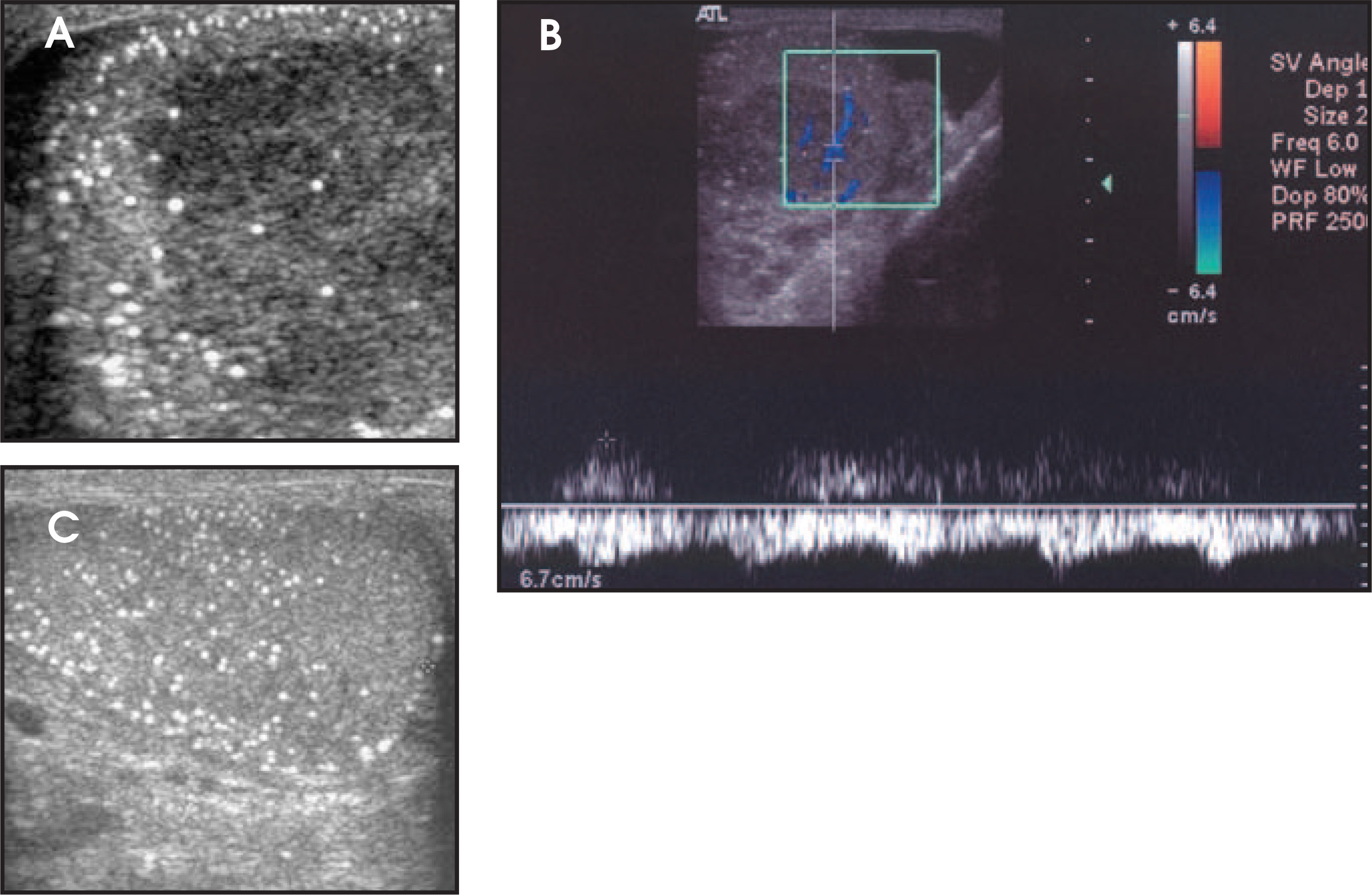 FIGURE 1.