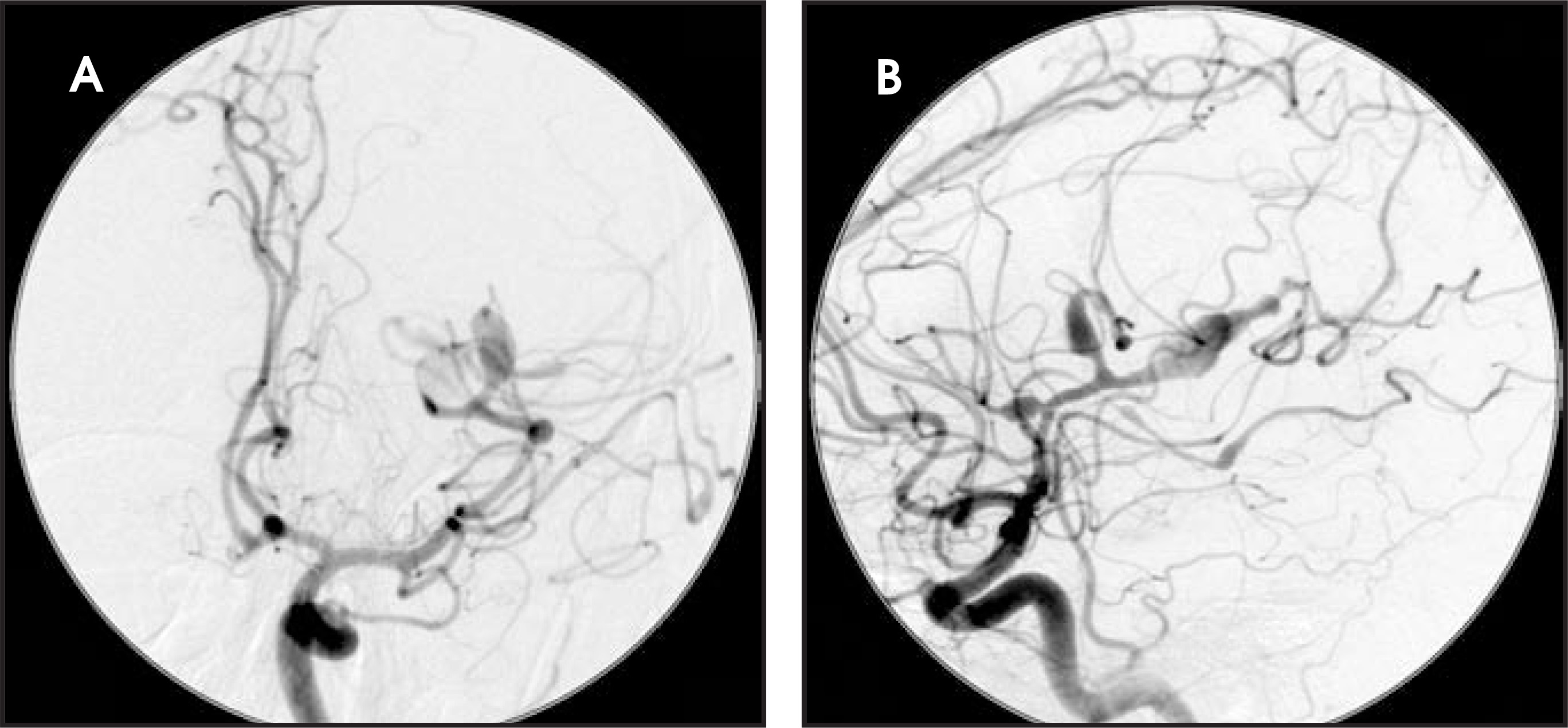 FIGURE 4.