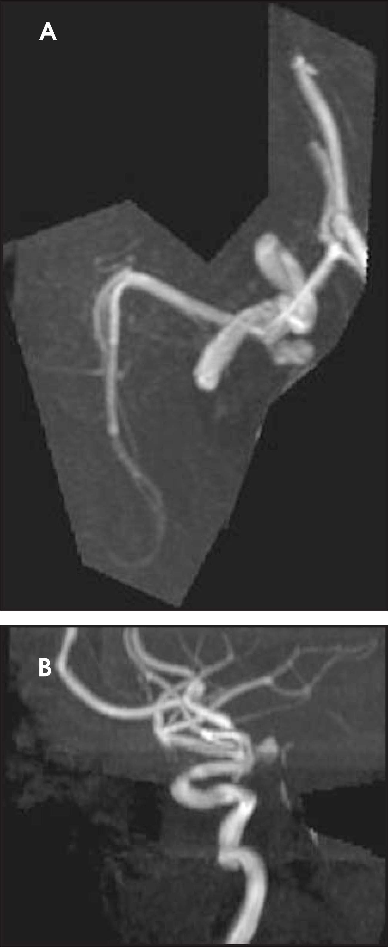 FIGURE 8.