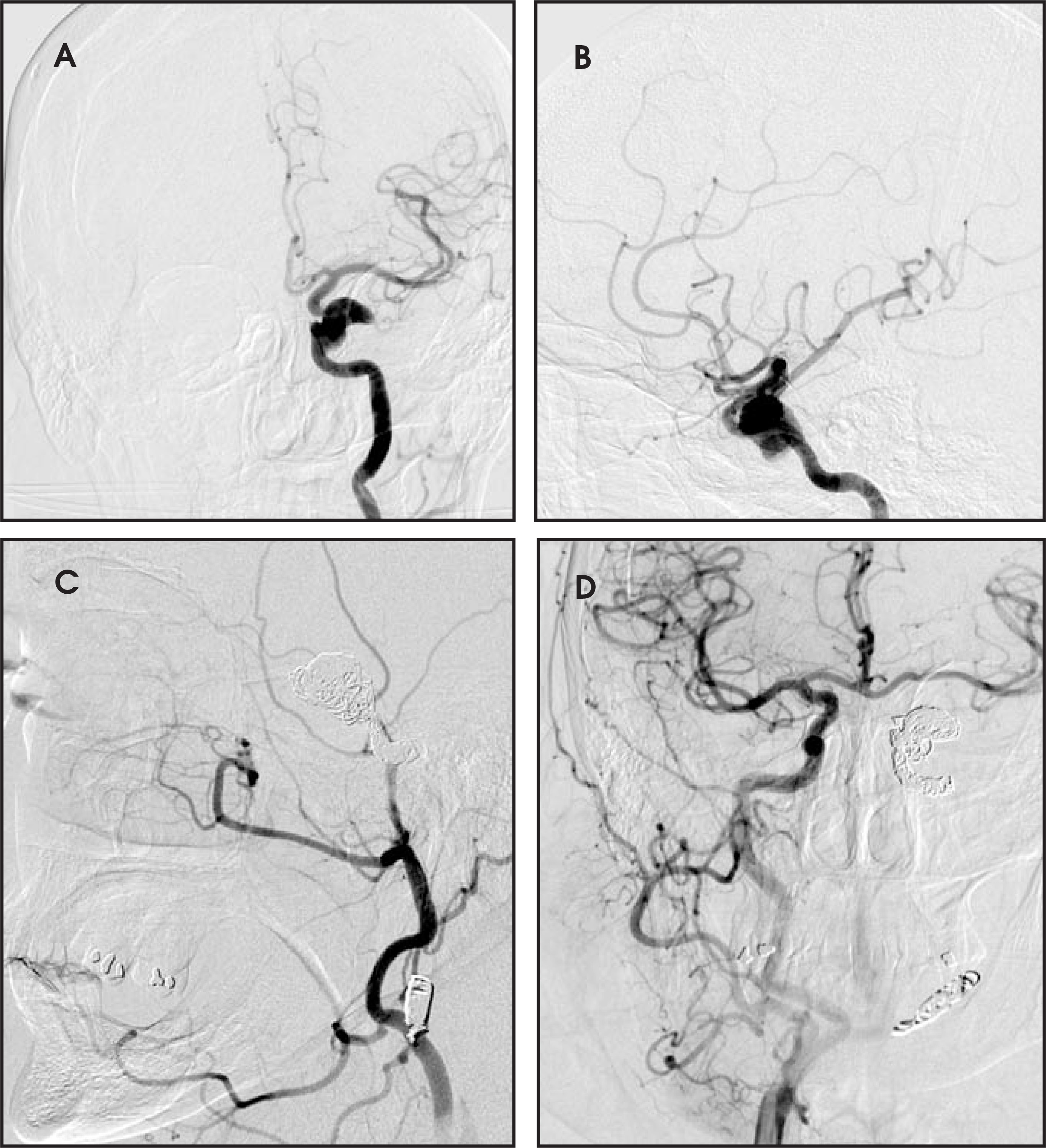 FIGURE 12.