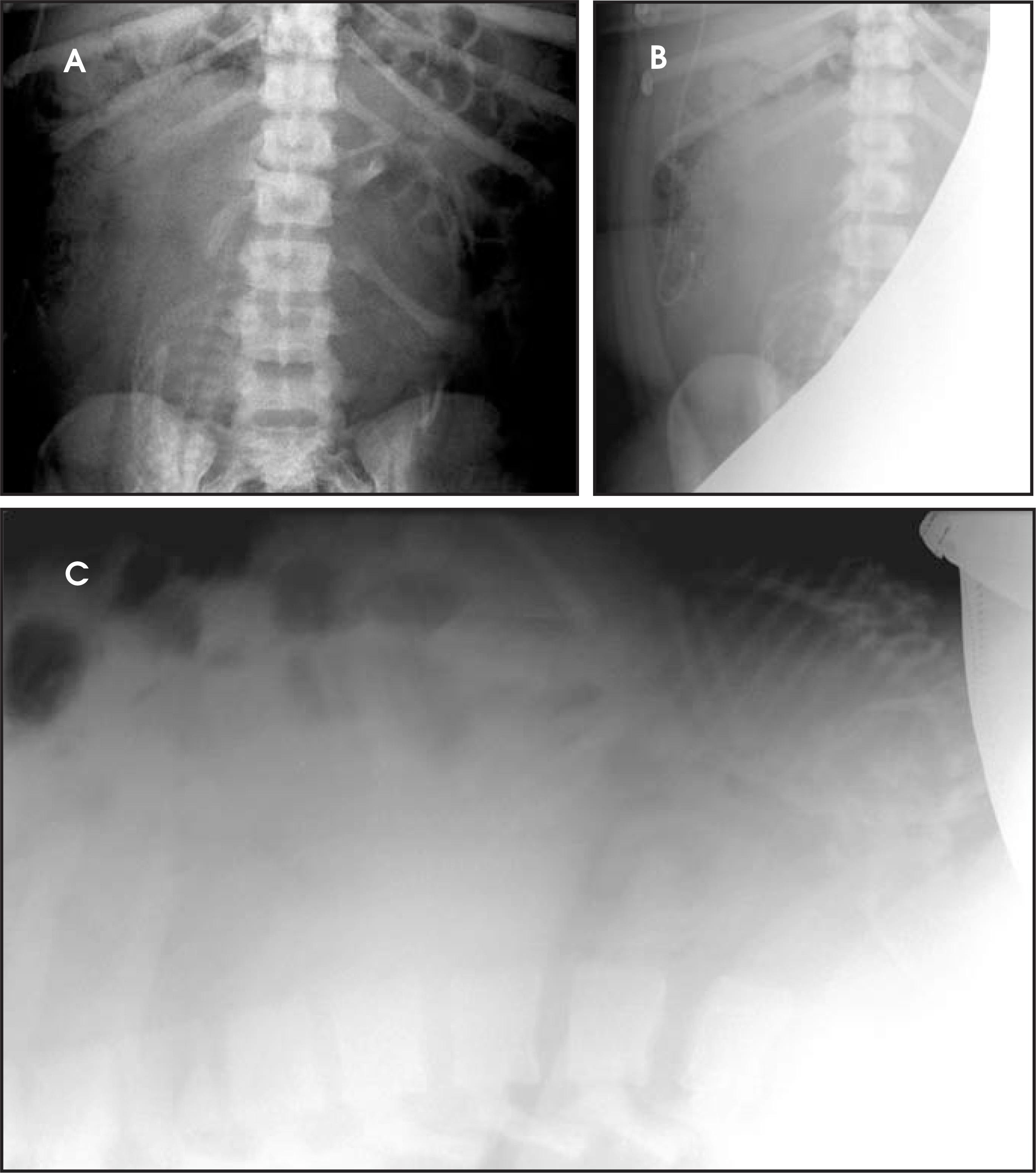 FIGURE 2.