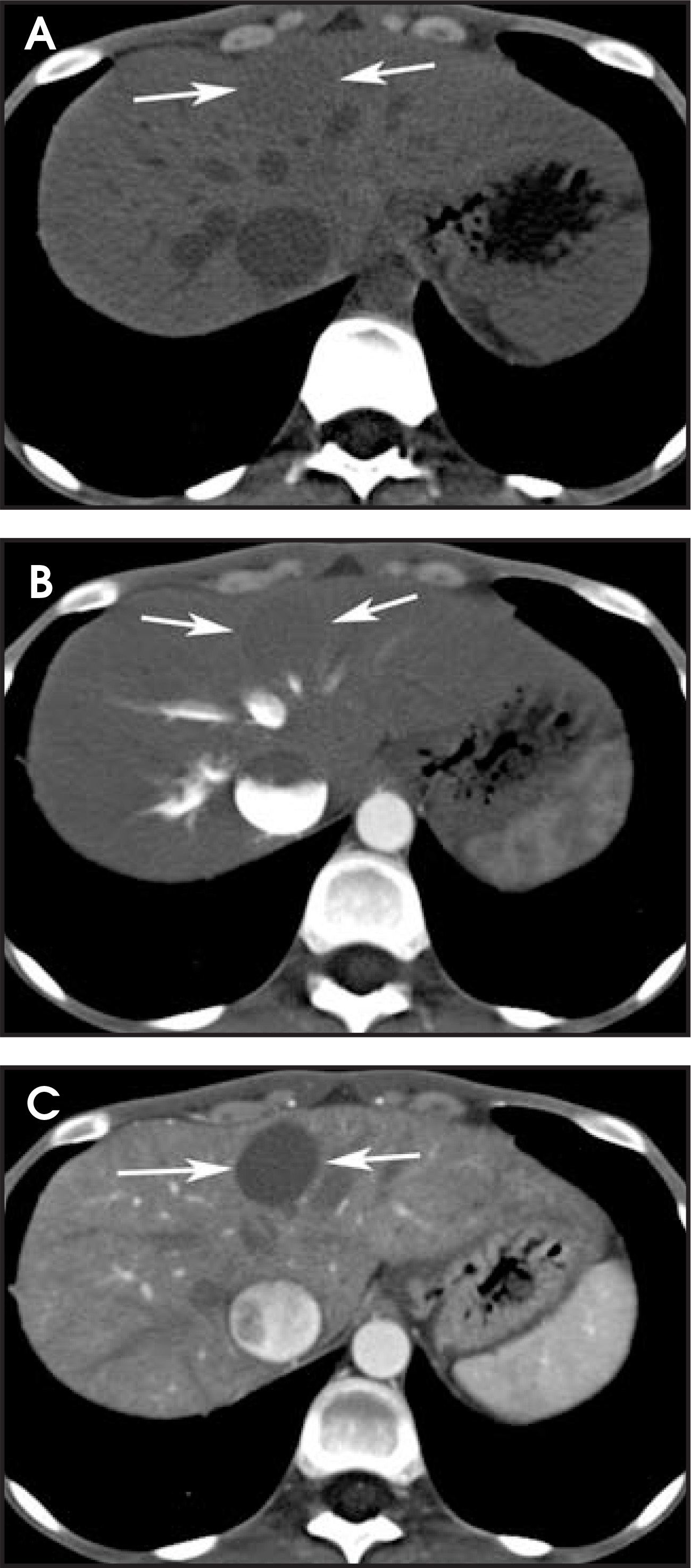 FIGURE 1.