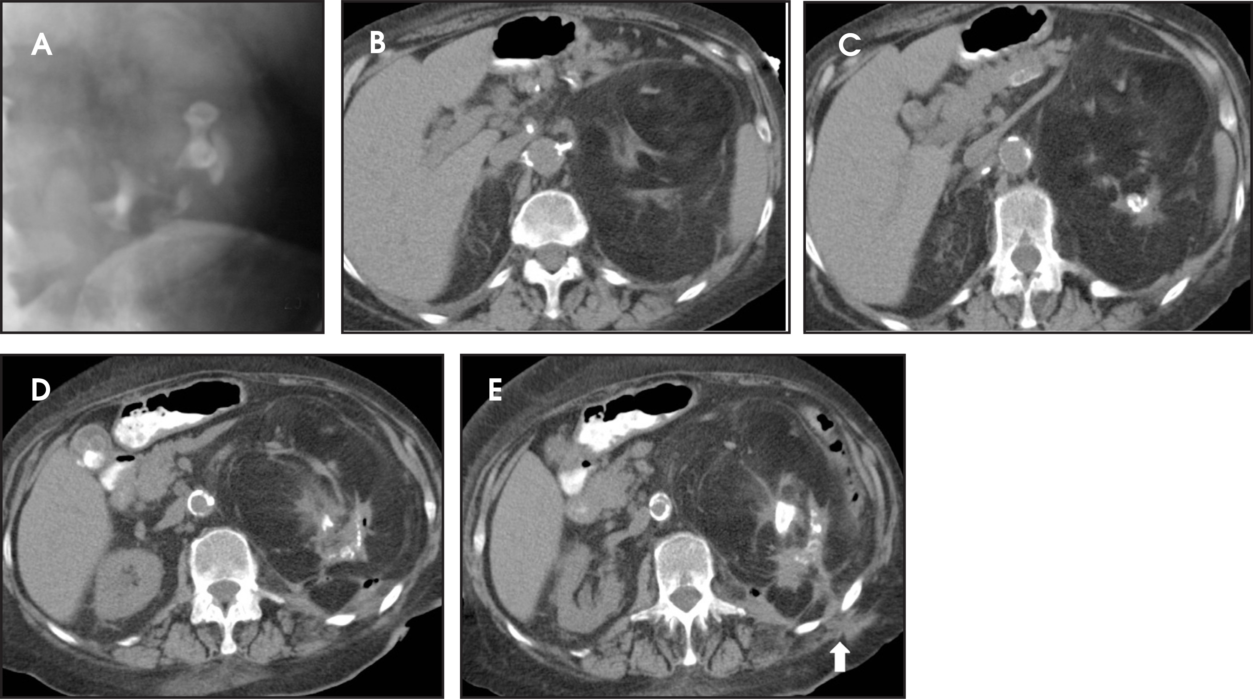 FIGURE 12.