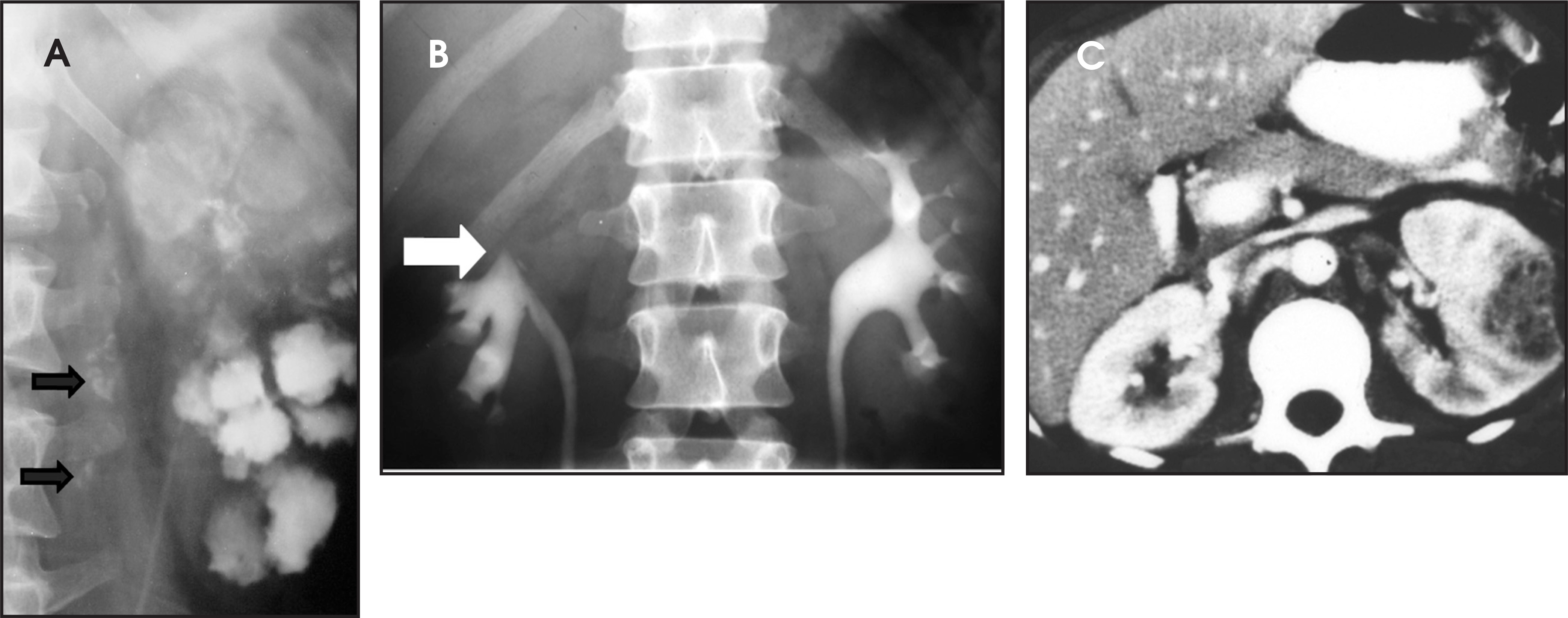 FIGURE 13.