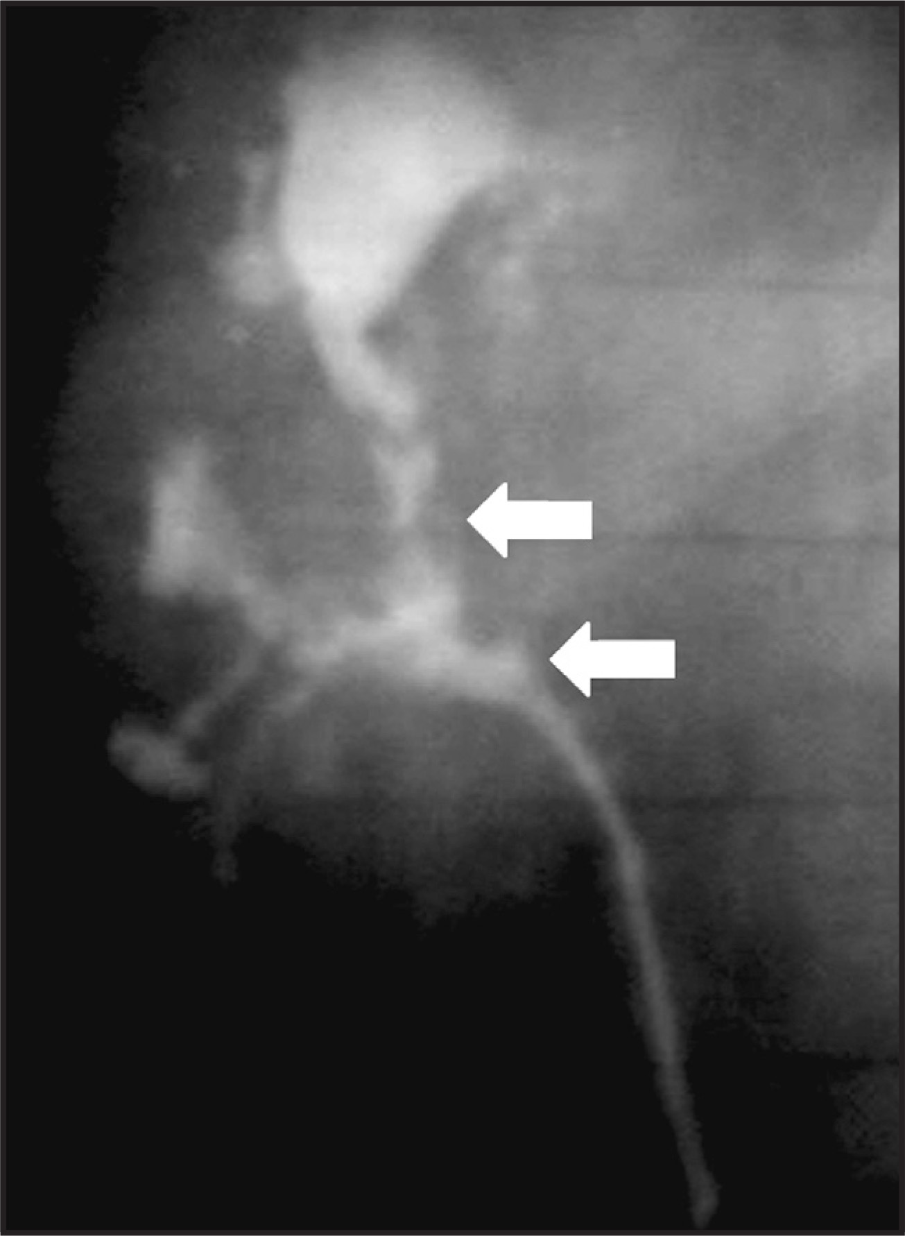 FIGURE 14.