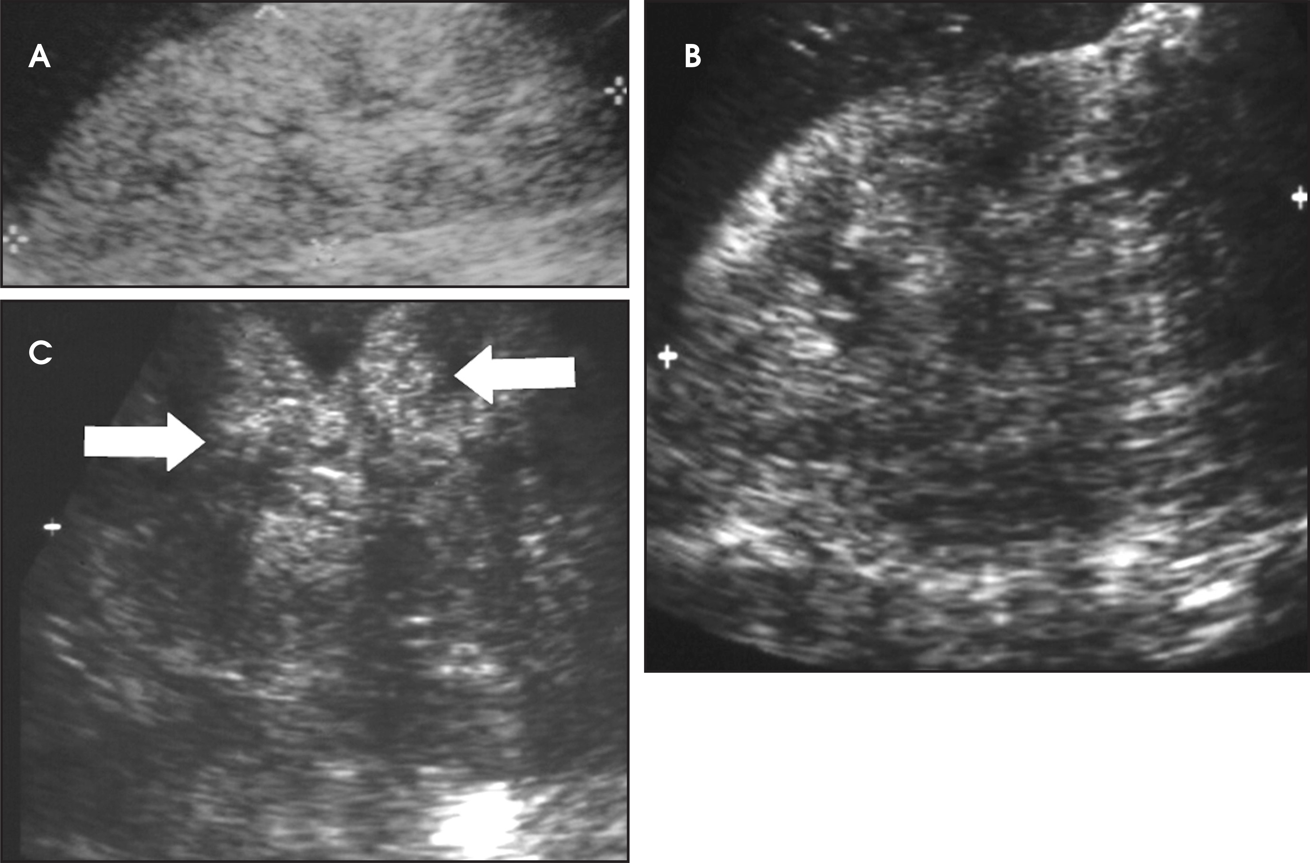 FIGURE 16.
