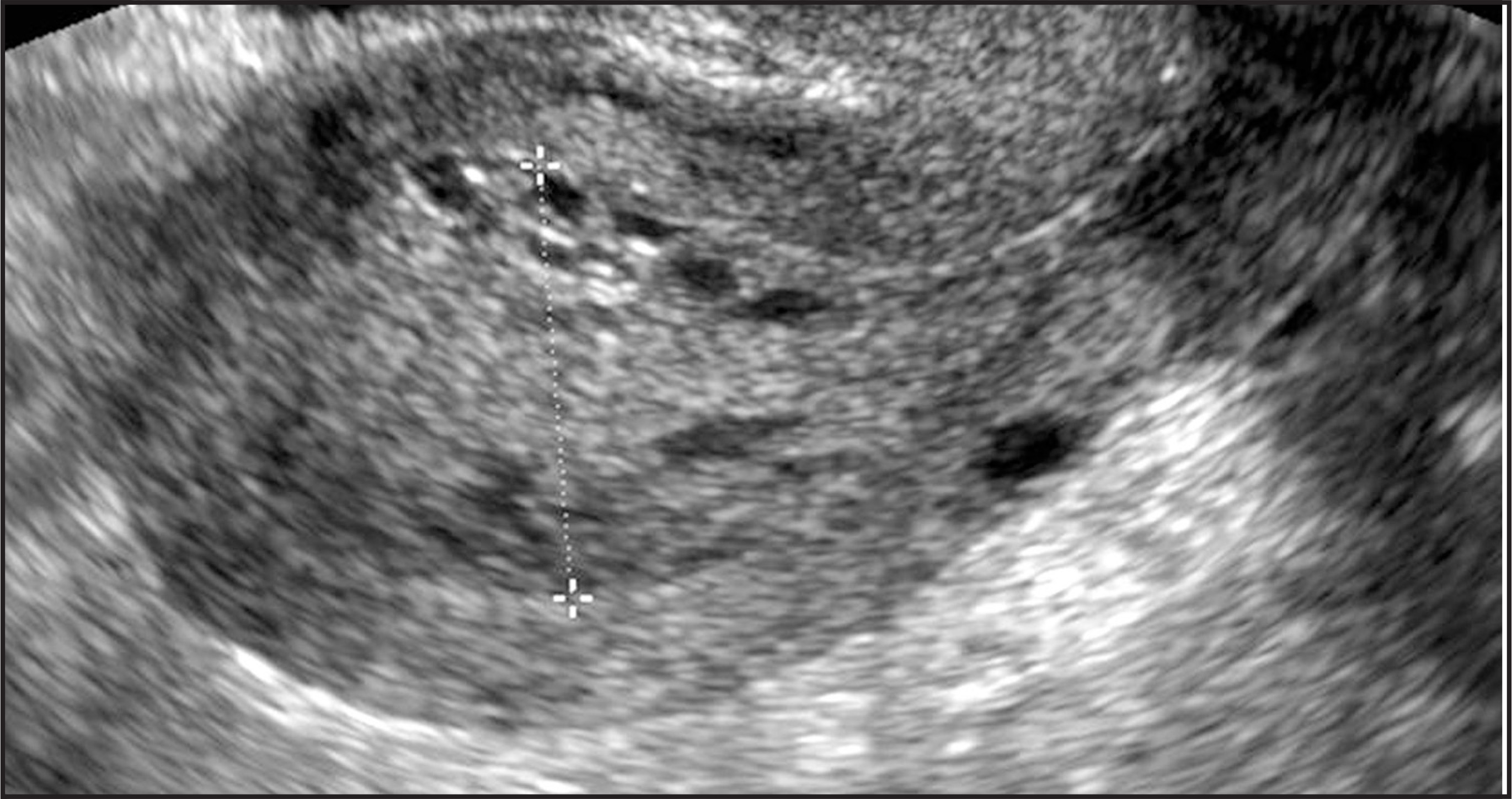 FIGURE 12.
