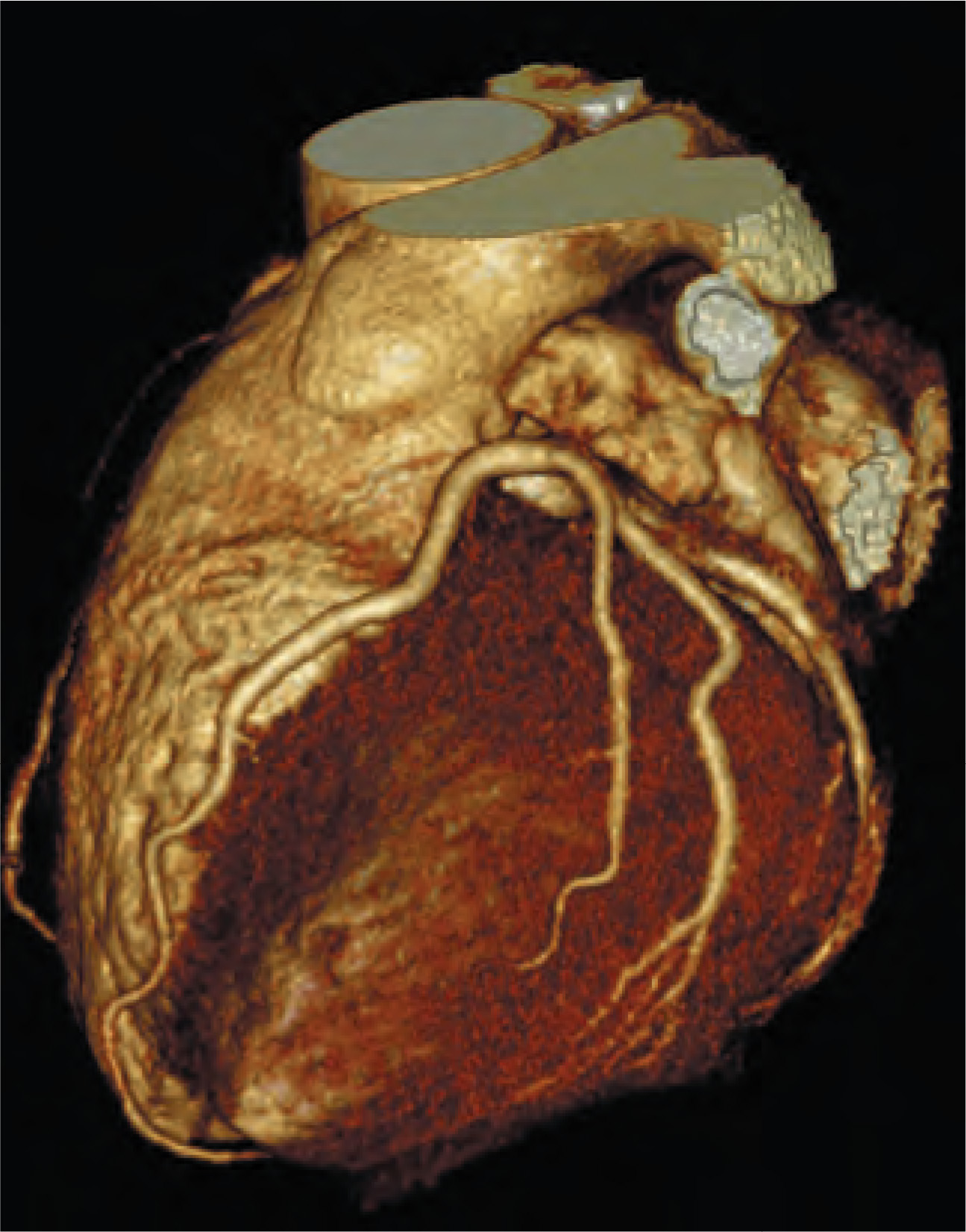 FIGURE 1.