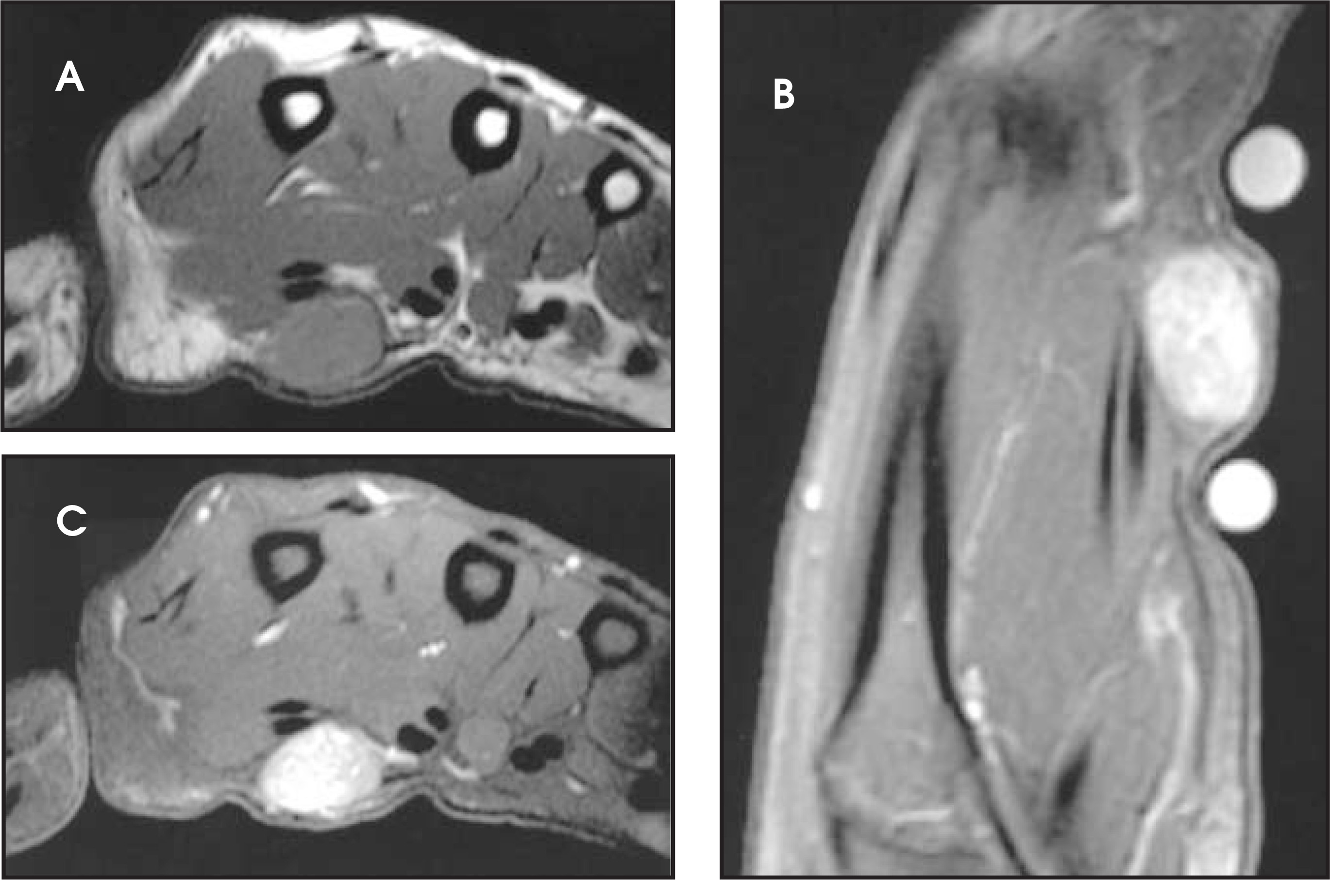 FIGURE 1.
