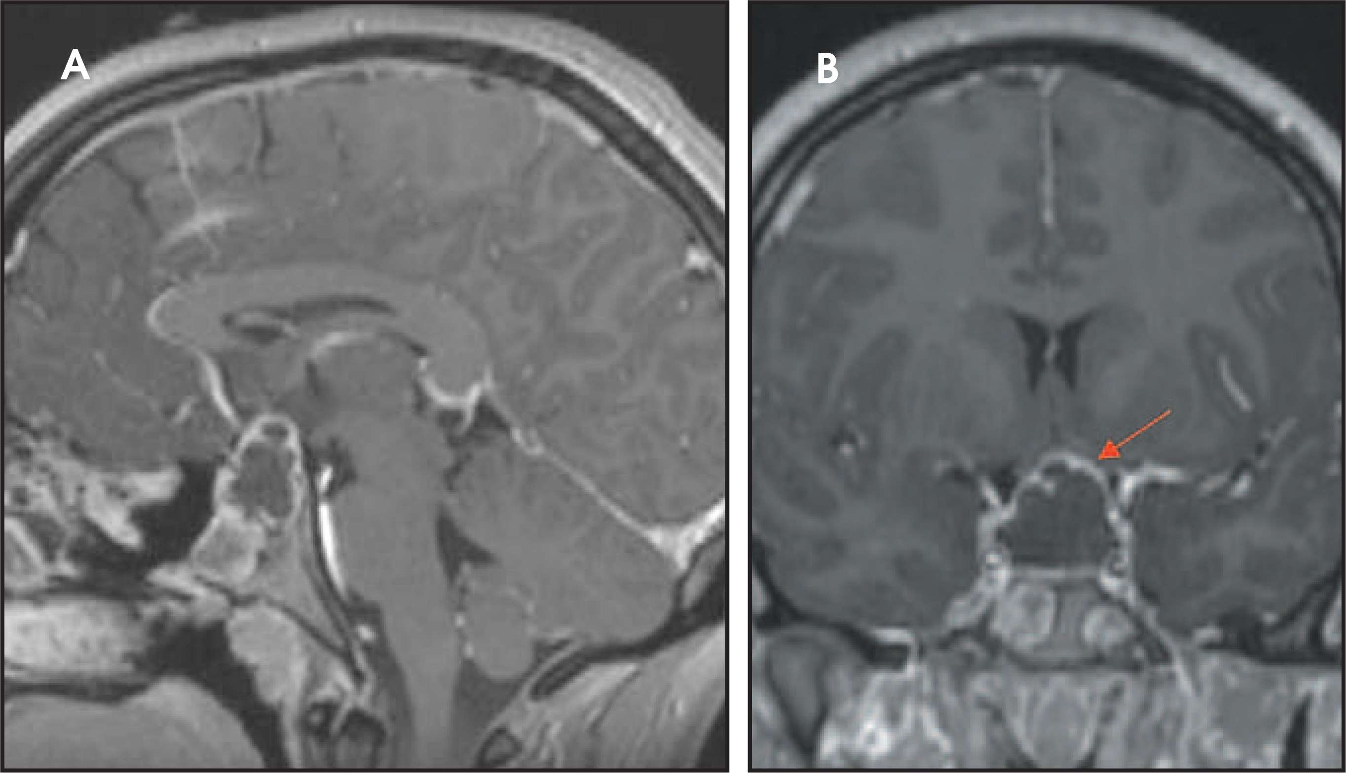 FIGURE 19.