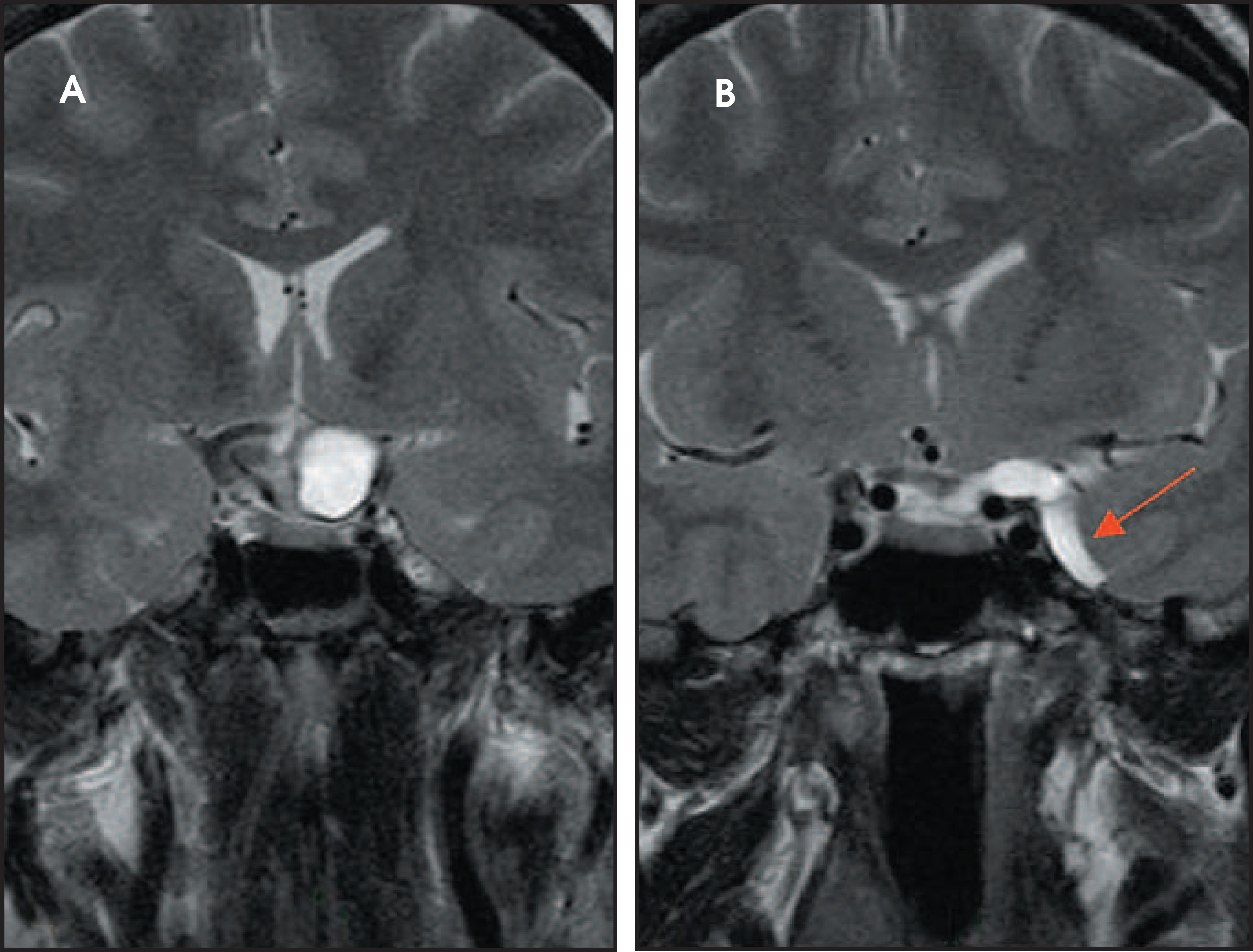 FIGURE 20.
