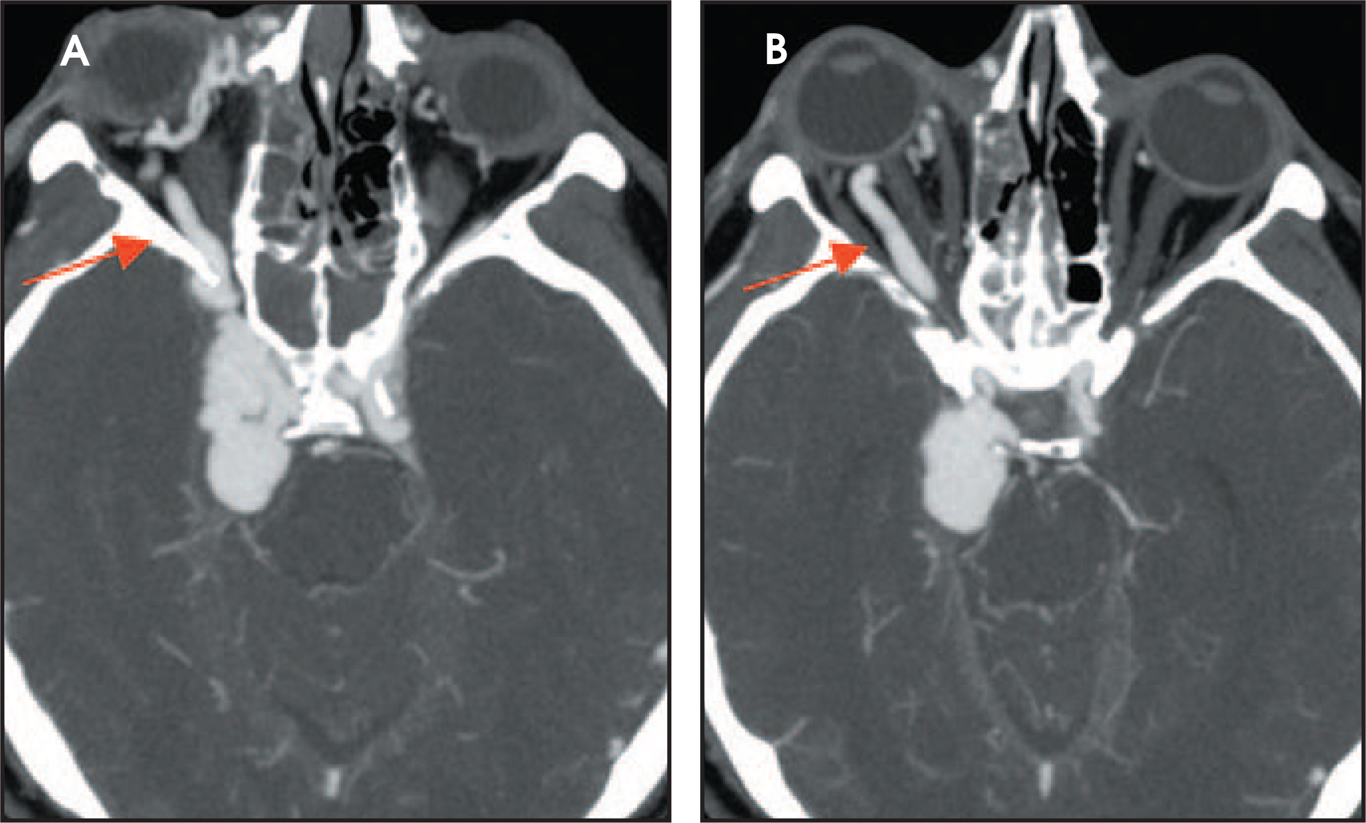 FIGURE 24.