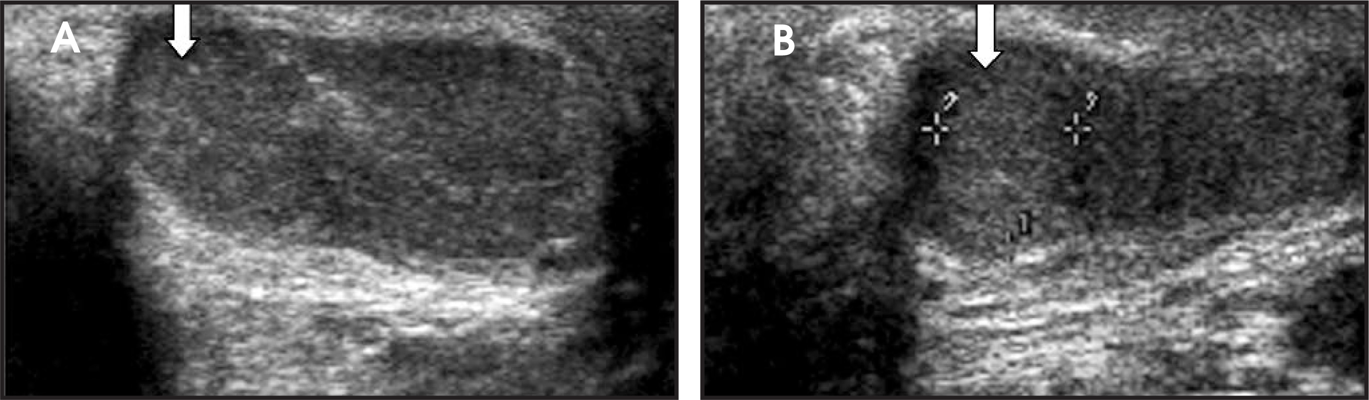 FIGURE 1.