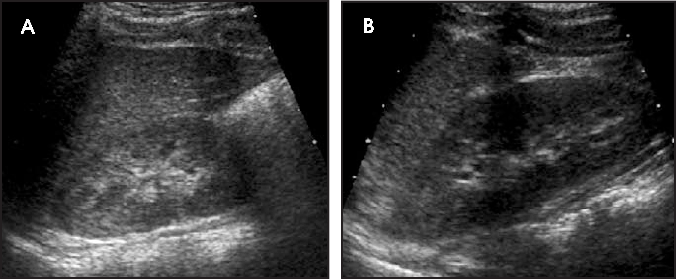 FIGURE 4.