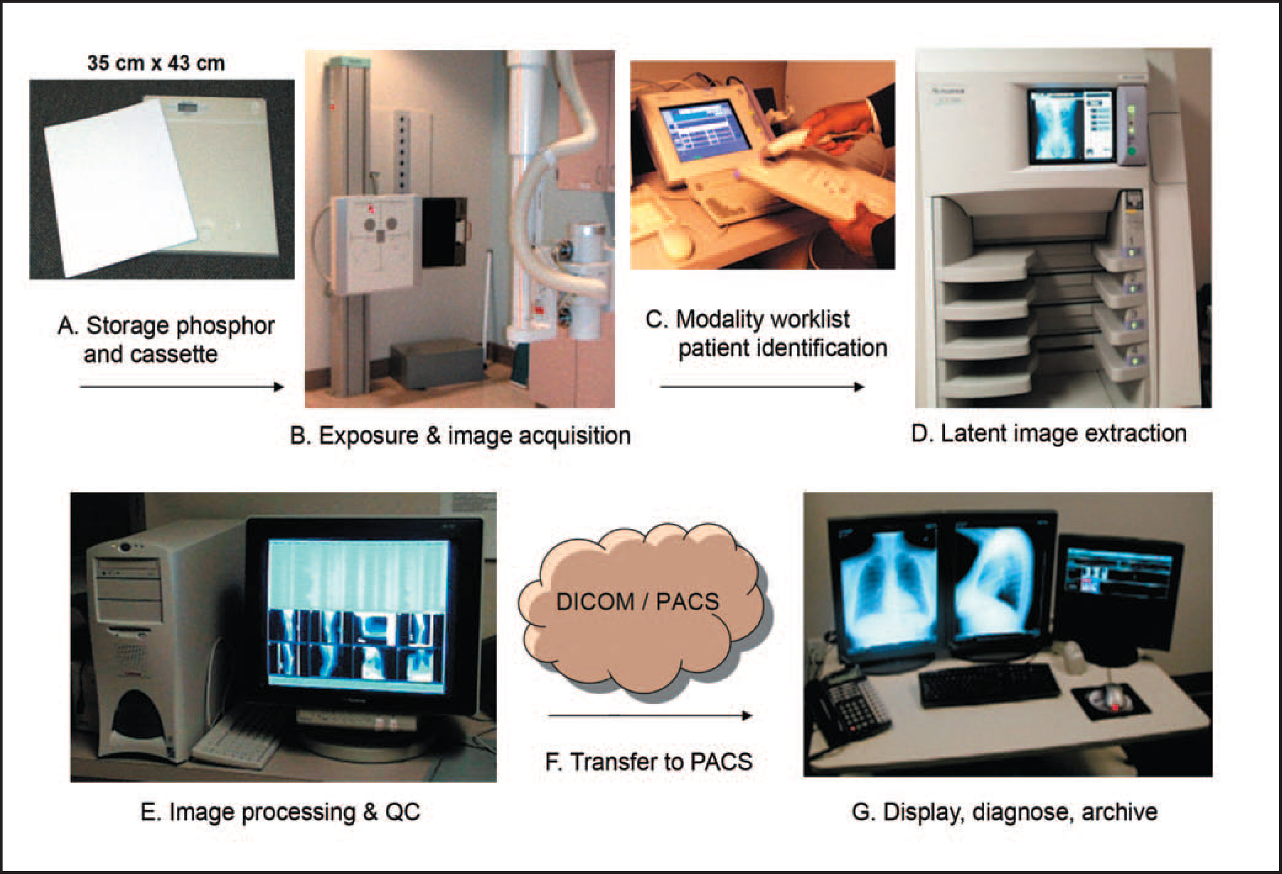 FIGURE 1.