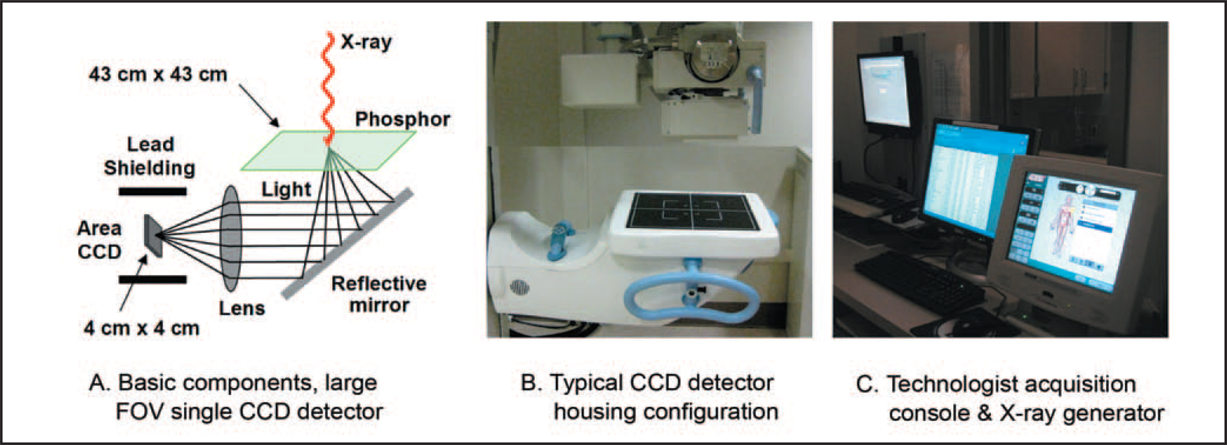 FIGURE 2.