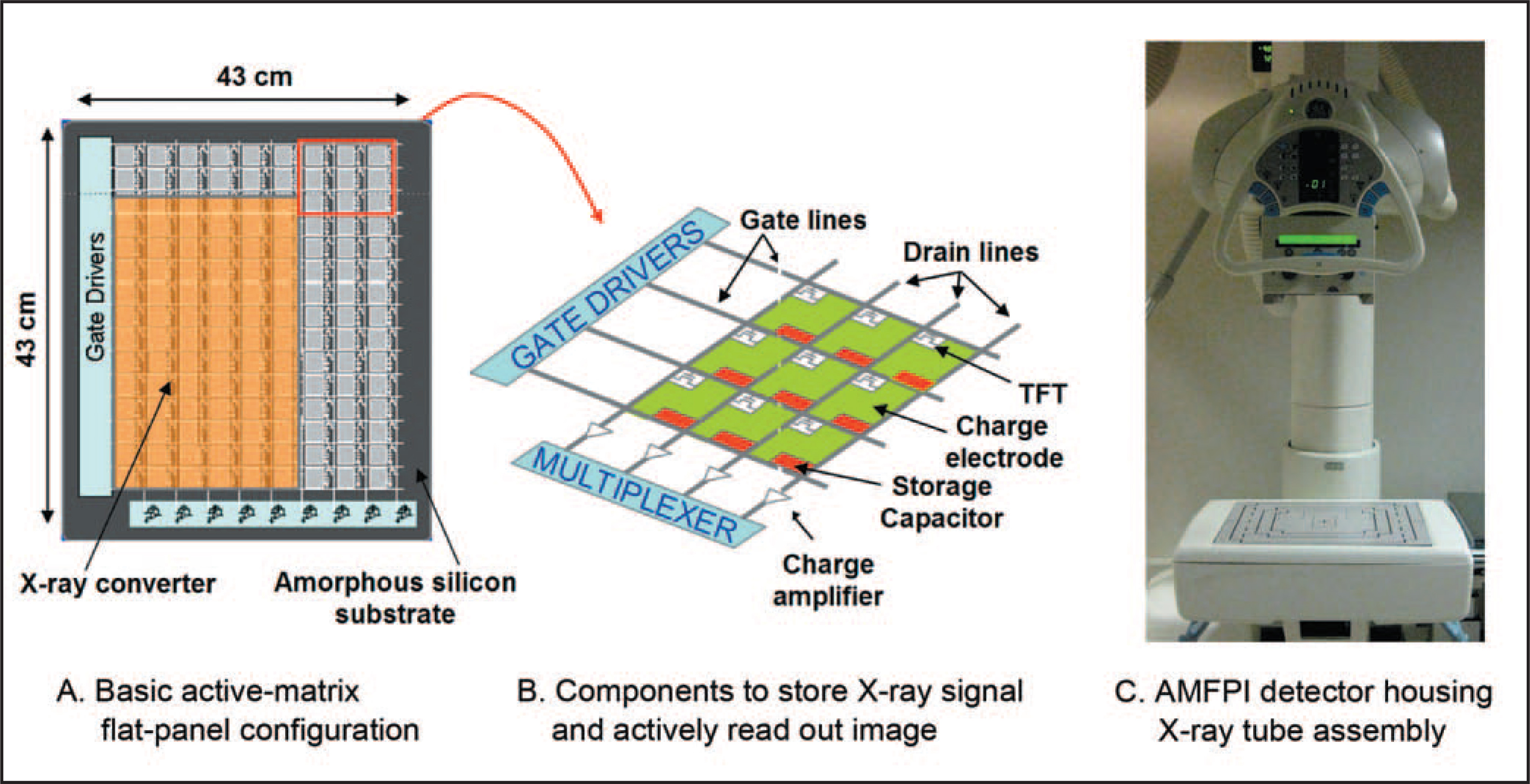 FIGURE 4.