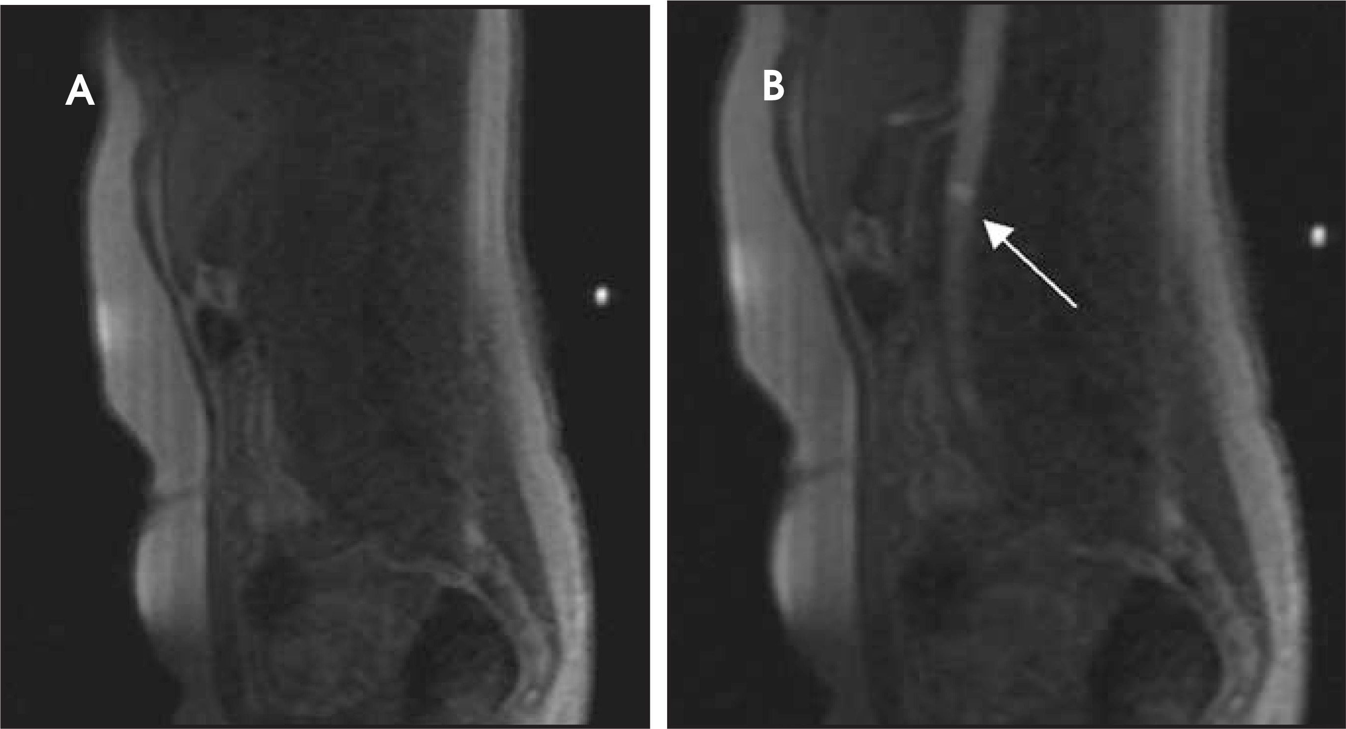 FIGURE 14.