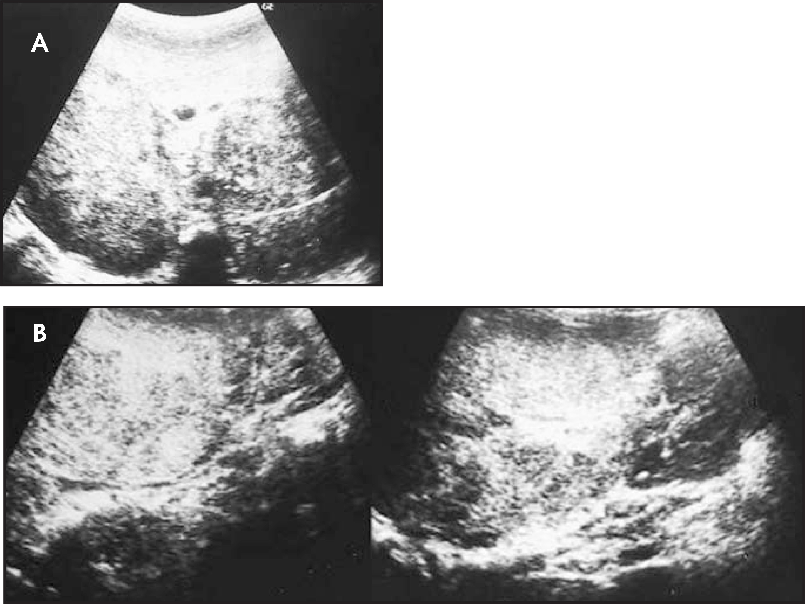 FIGURE 1: