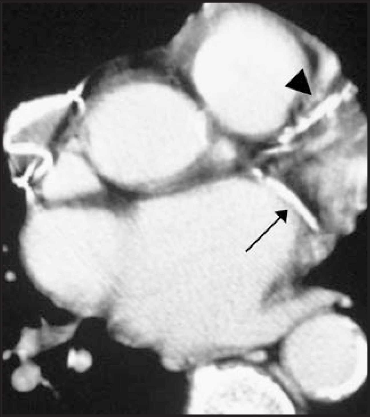 FIGURE 1.