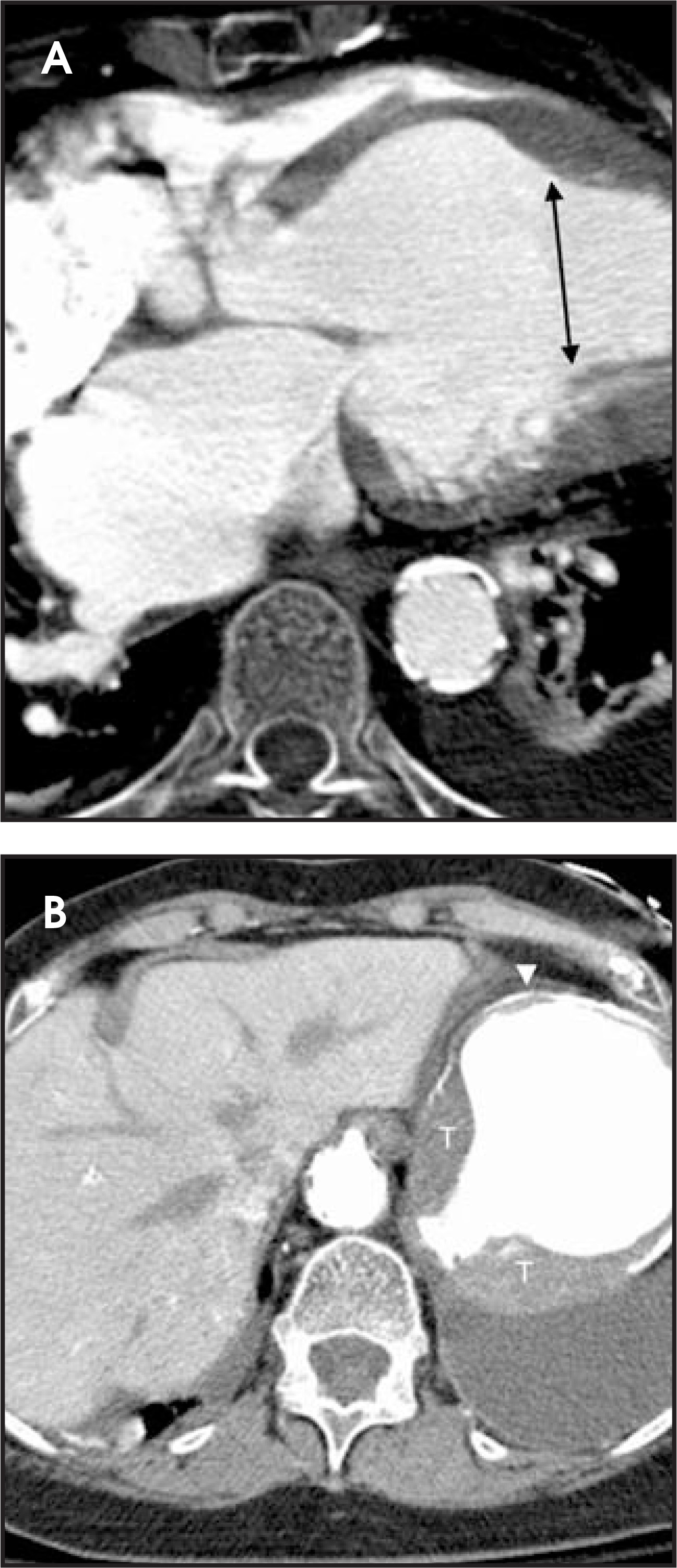 FIGURE 13.