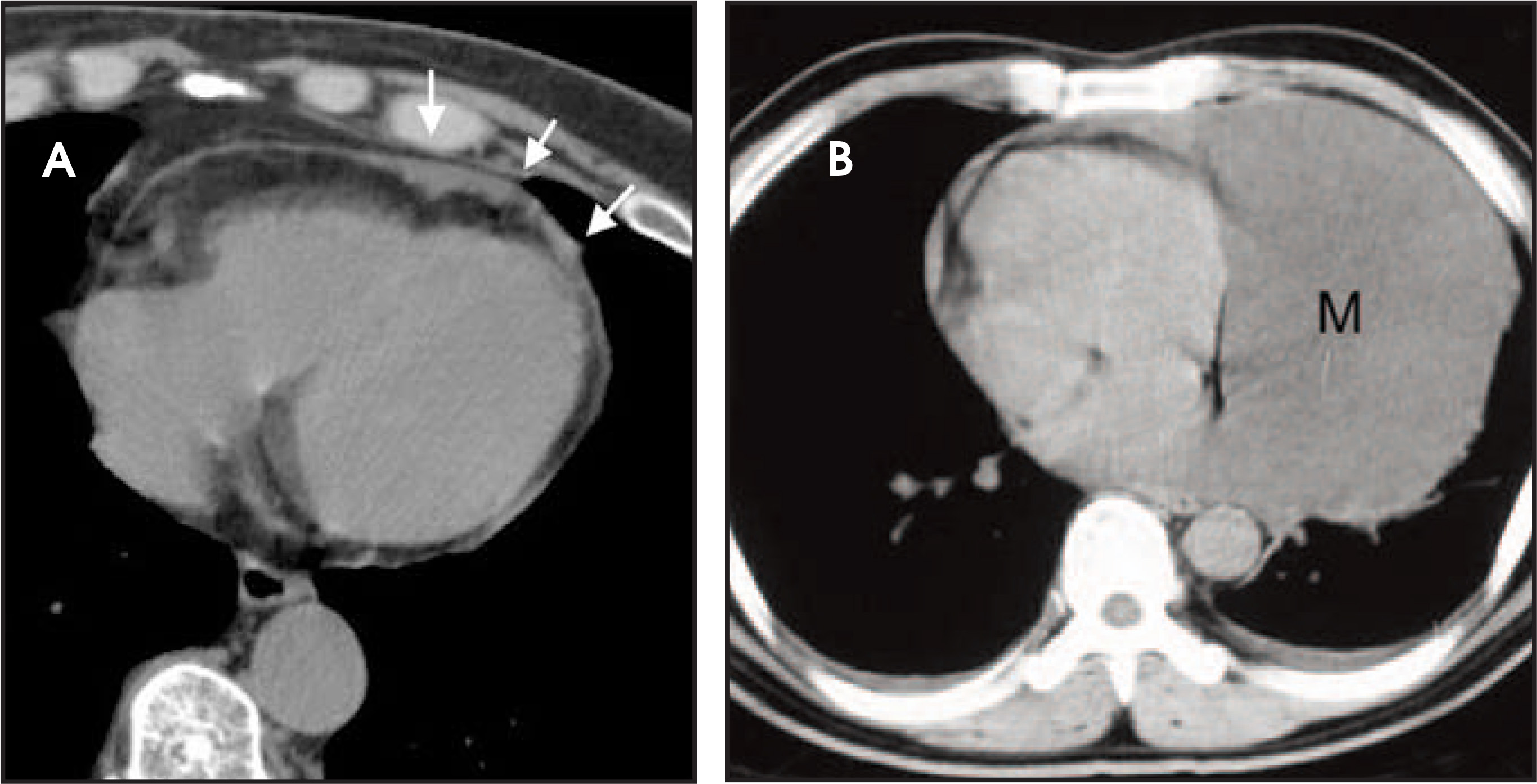 FIGURE 19.