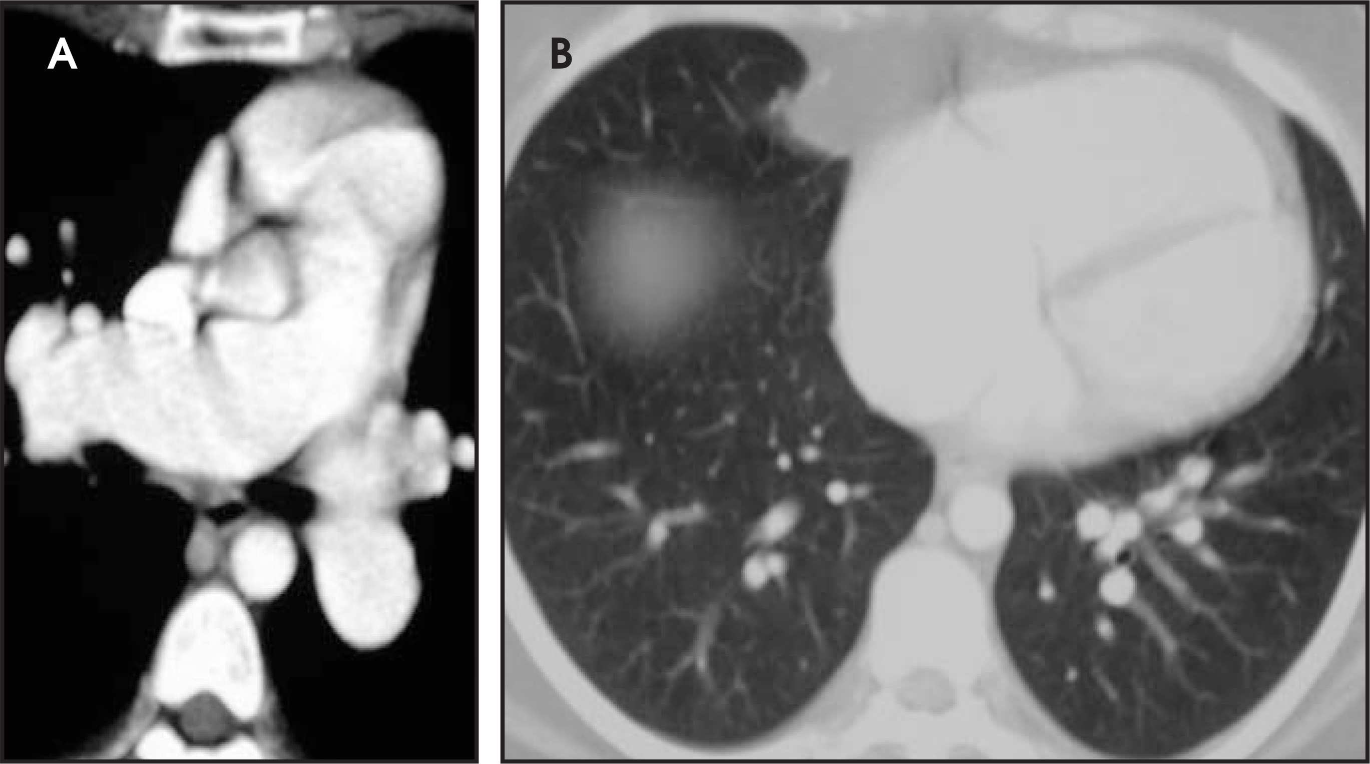 FIGURE 24.
