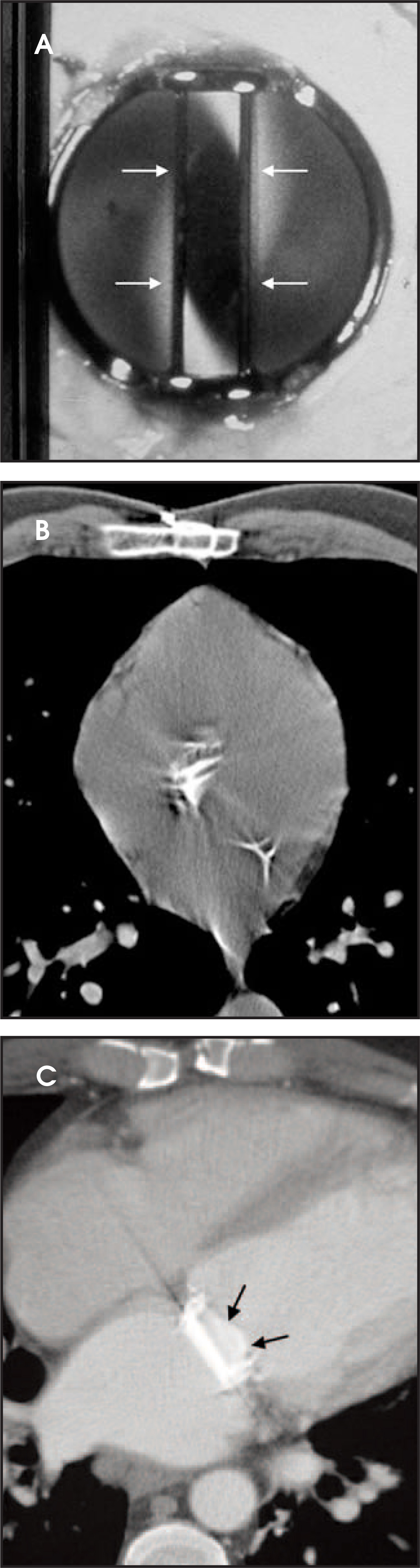 FIGURE 29.
