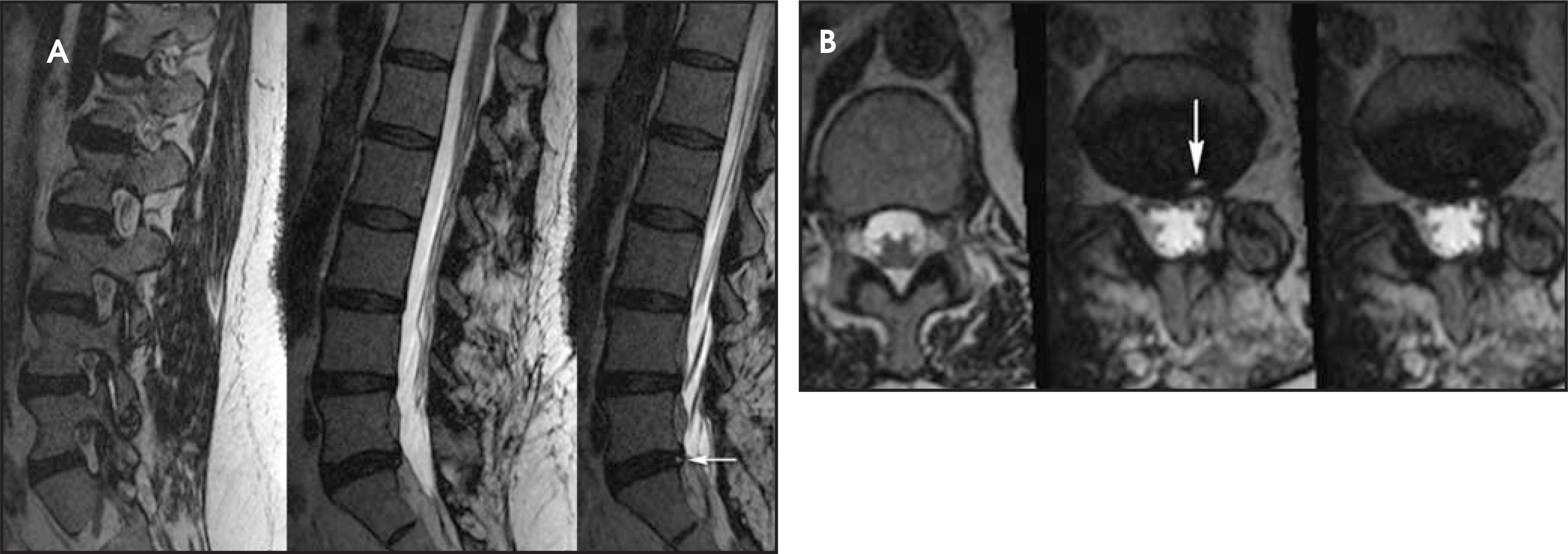 FIGURE 10.