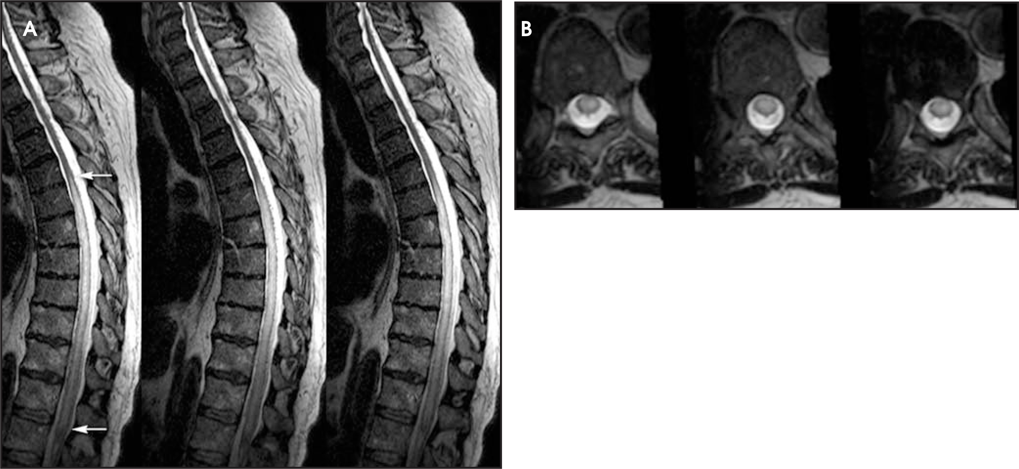 FIGURE 12.