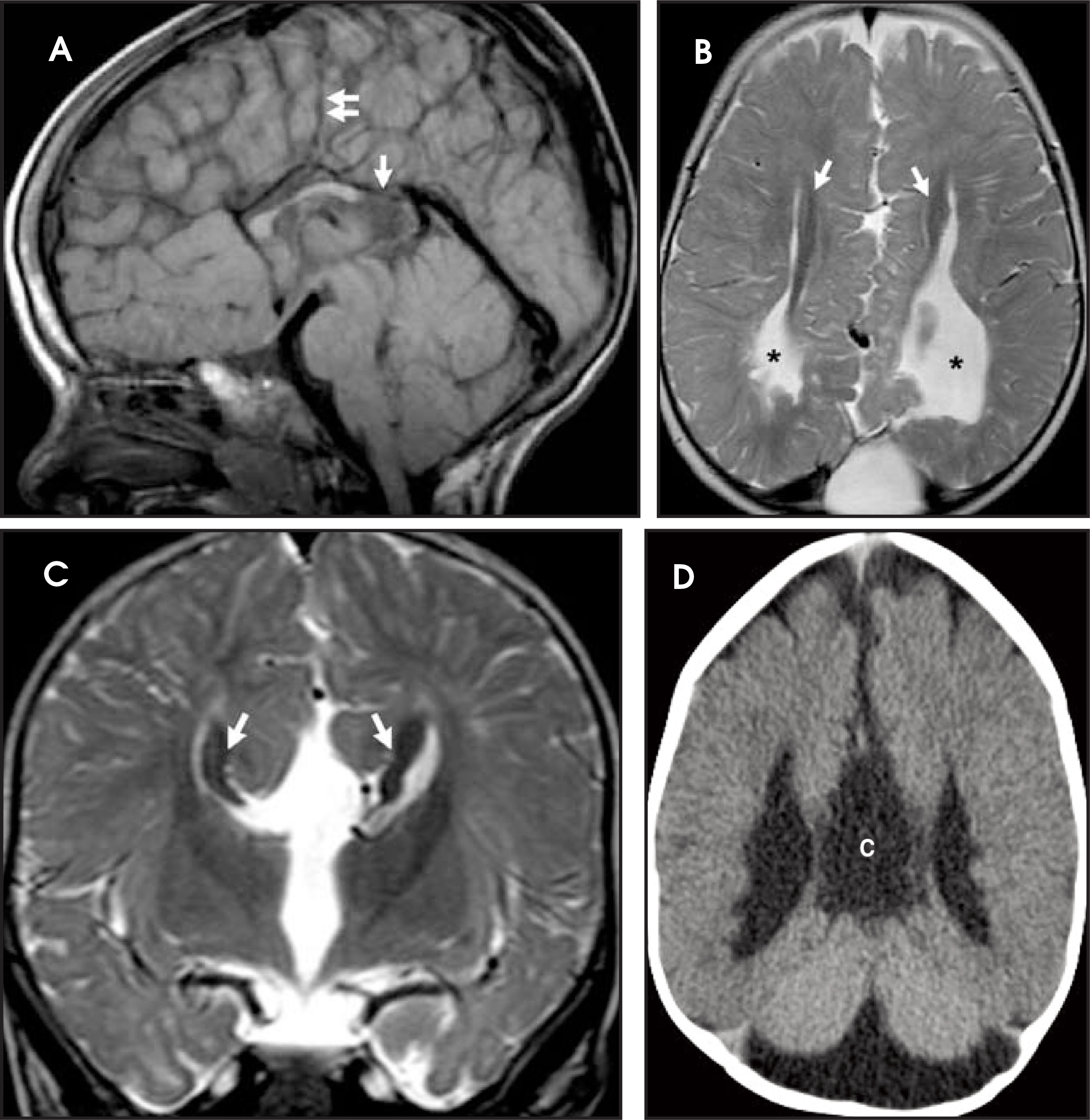 FIGURE 15.